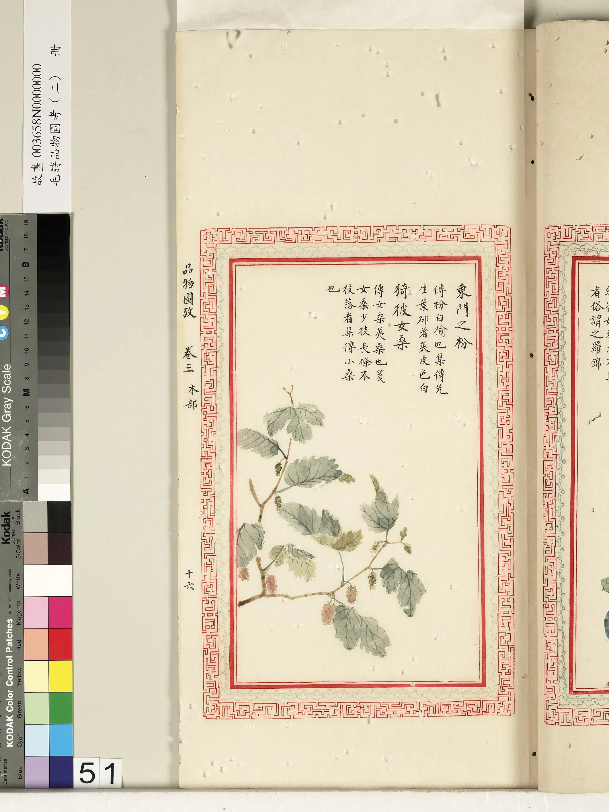 清代《毛诗品物图考（二）册-2》 第3张