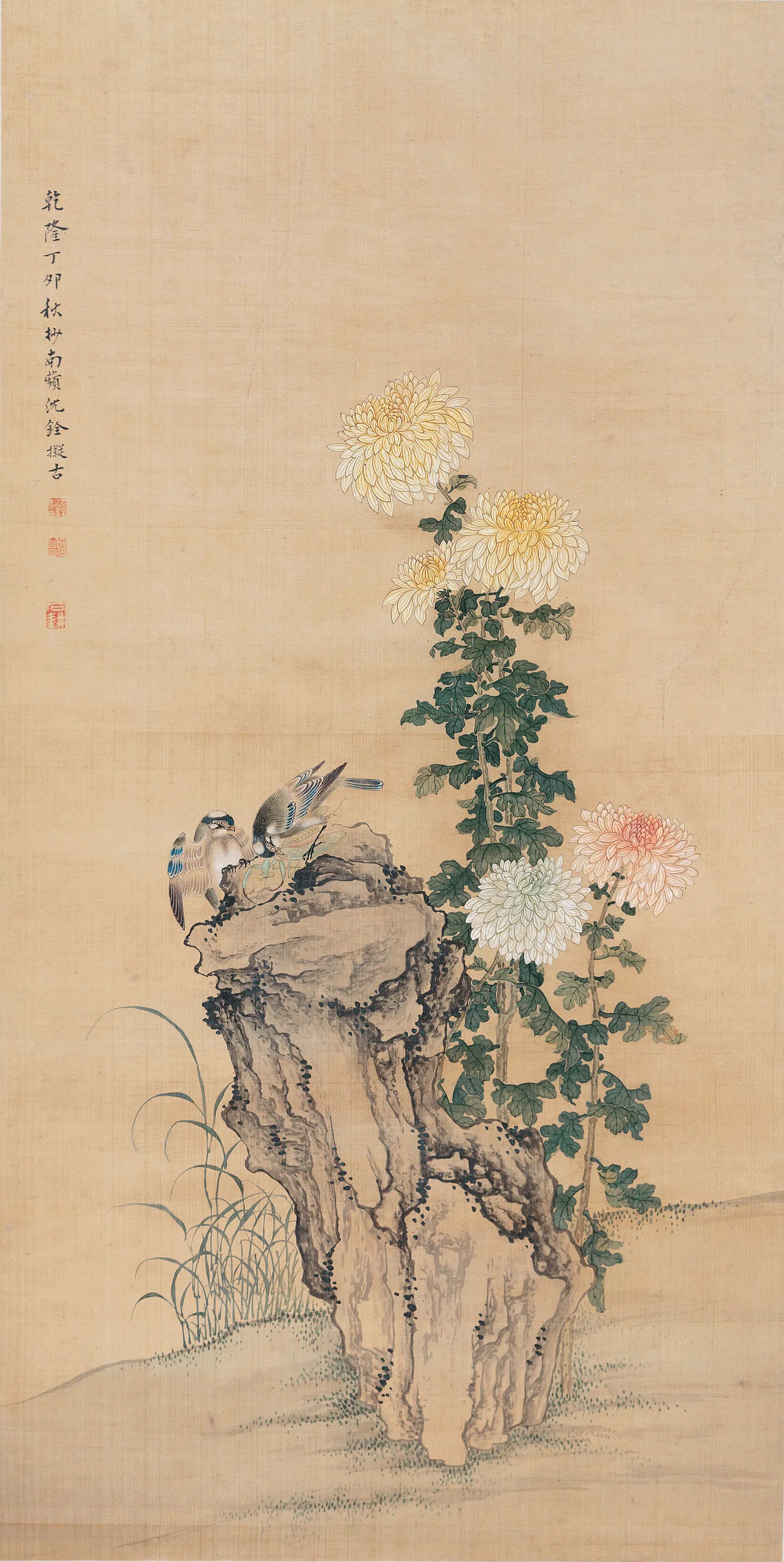 清代【沈铨】《菊花小雀图》