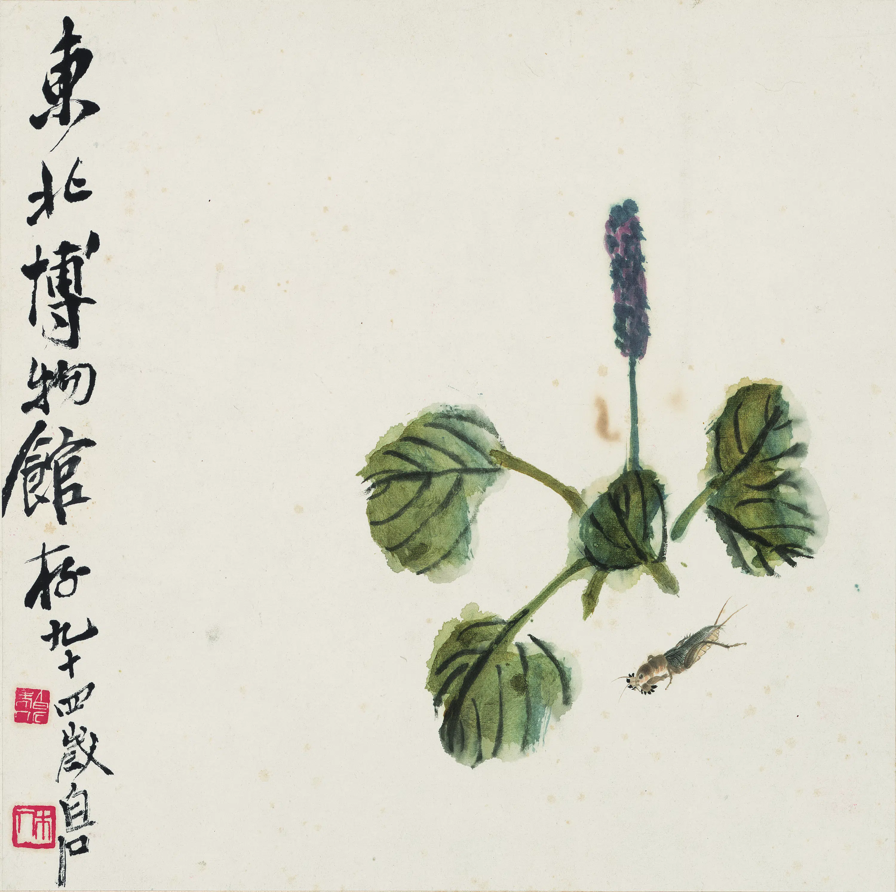 近现代【齐白石】《蝼蛄红蓼图》
