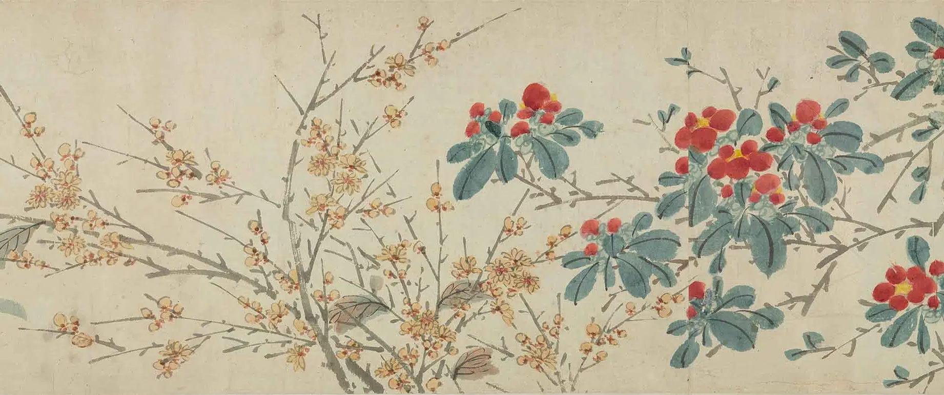明朝【陈淳（道复）】《四季花卉卷》 第13张