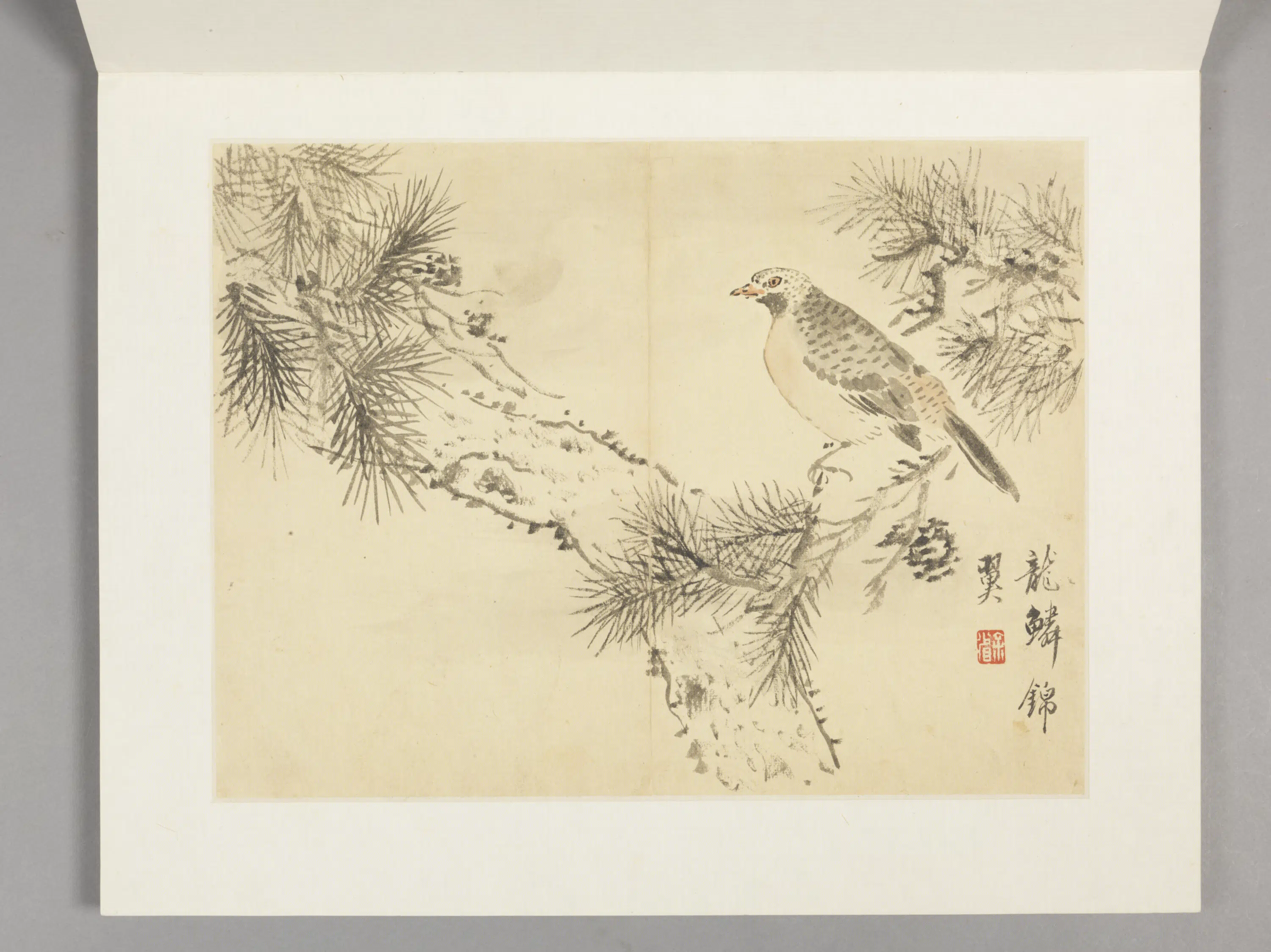清代【余省】《花卉册（12开）》 第3张