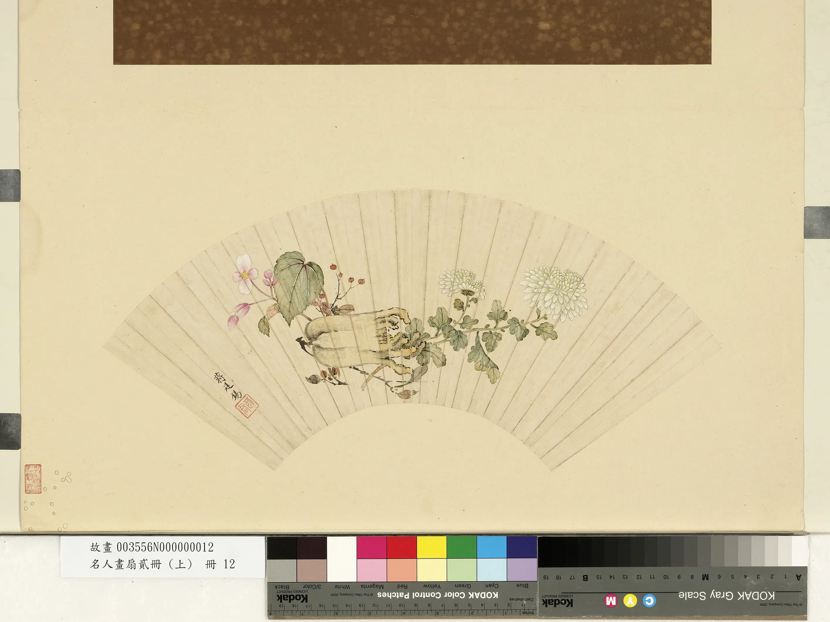 清代【蒋廷锡】《花果图-名人画扇贰册(上)册》 第1张