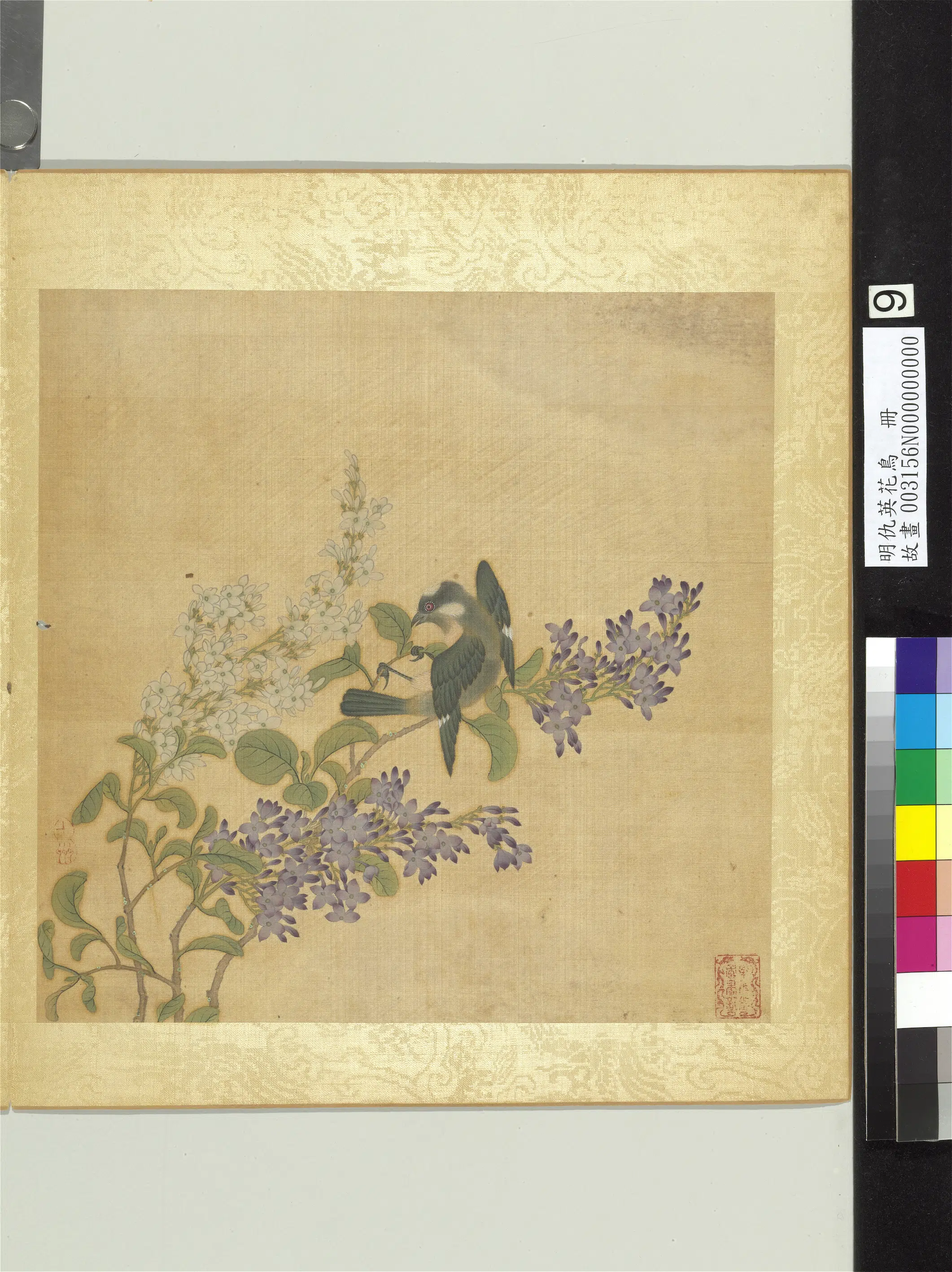 明朝【仇英】《花鸟册-紫薇白头翁》