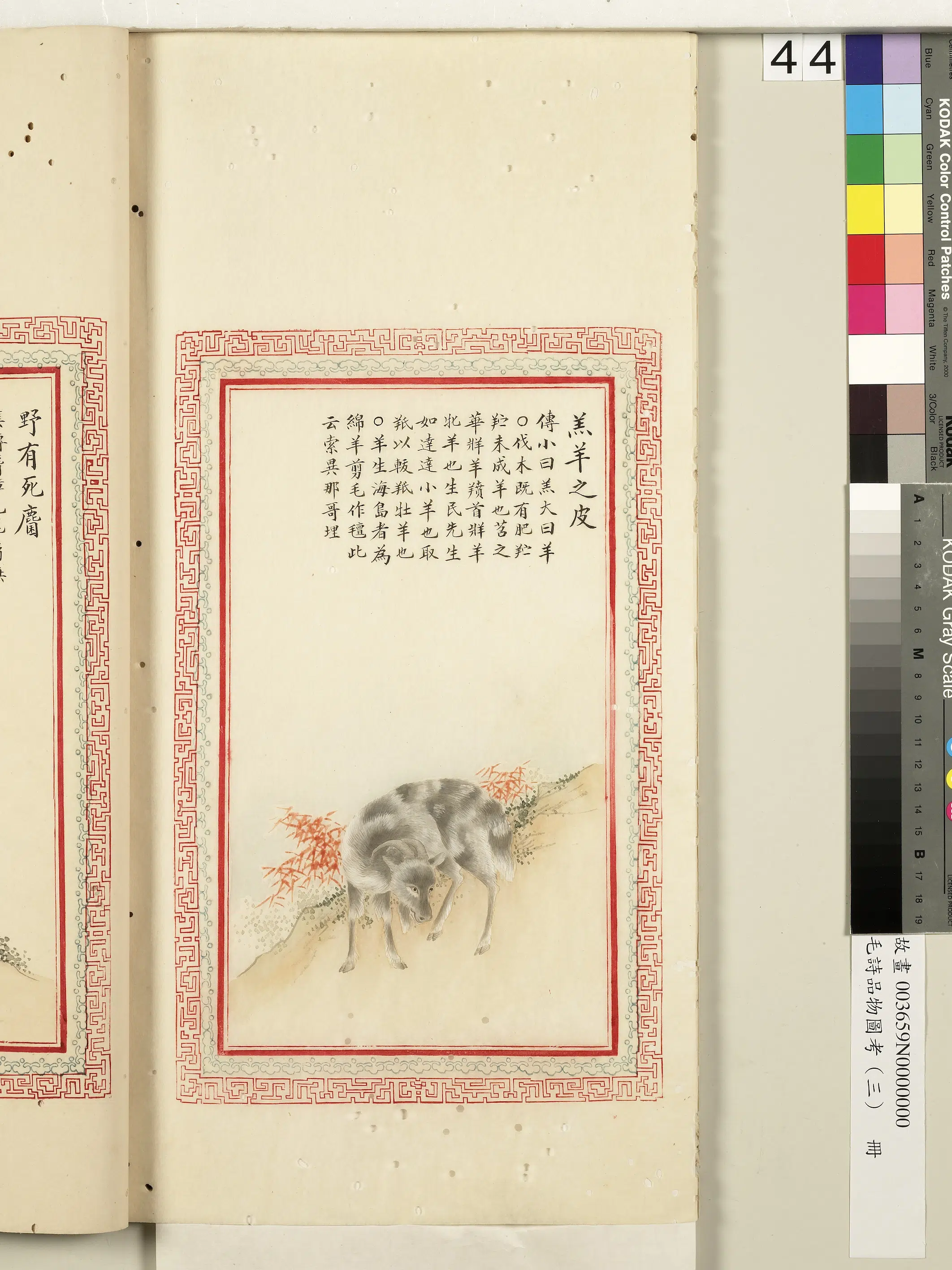 清代《毛诗品物图考(三)册-2》 第37张 清代《毛诗品物图考(三)册-2》 第37张