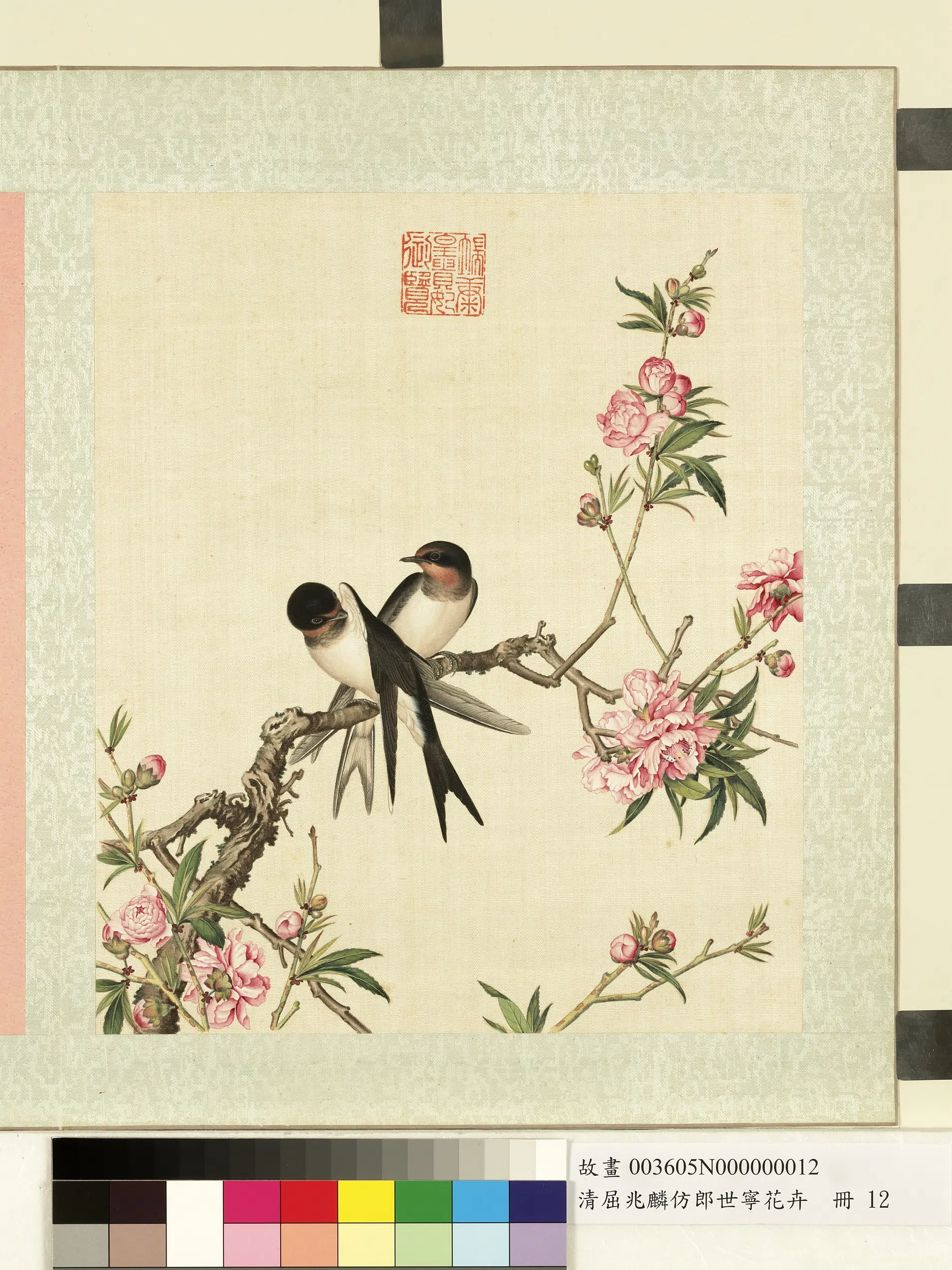 清代【屈兆麟】《仿郎世宁花卉册》 第6张 清代【屈兆麟】《仿郎世宁花卉册》 第6张
