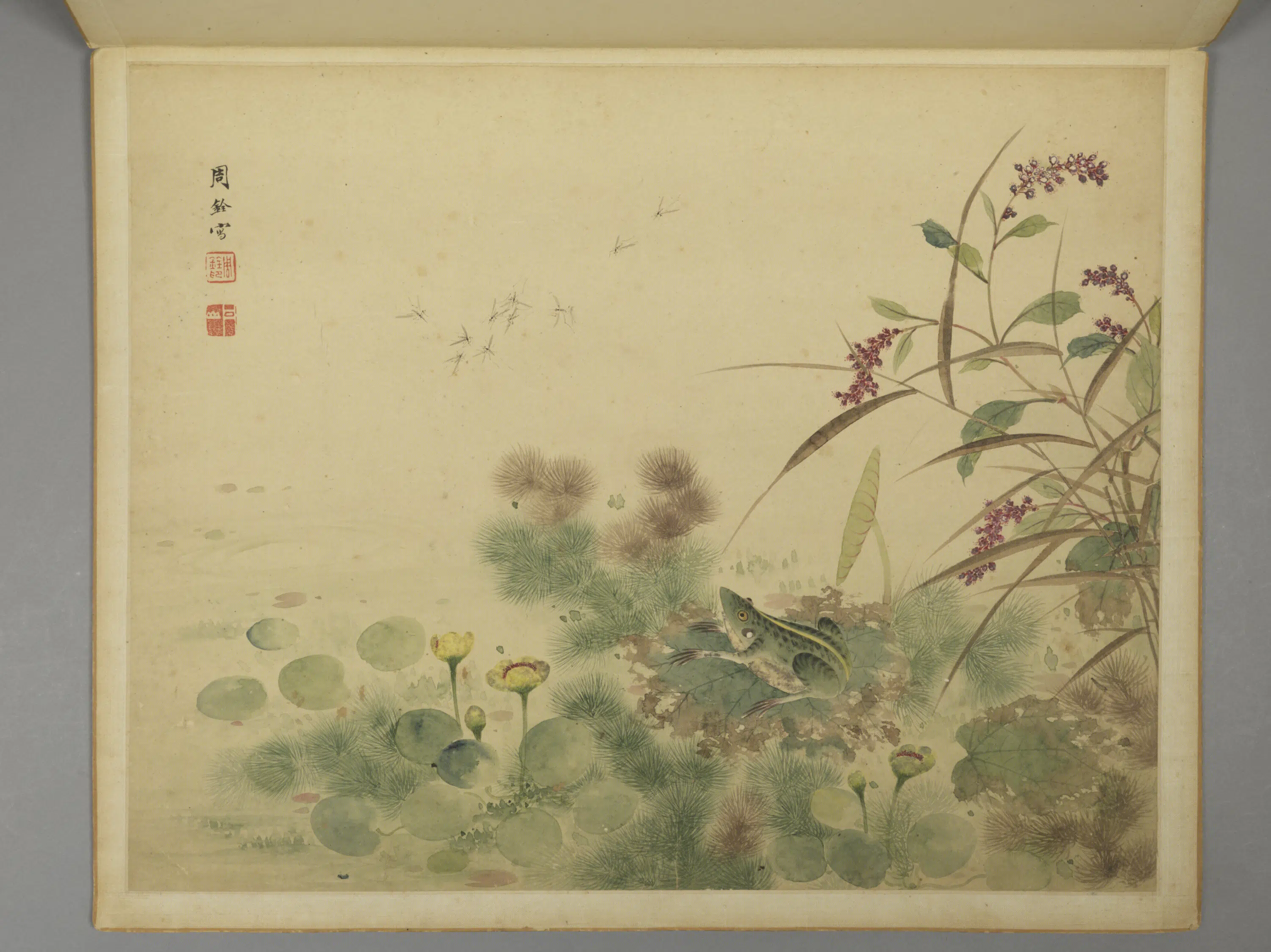 清代【周铨】《花鸟昆虫图册（12开）》