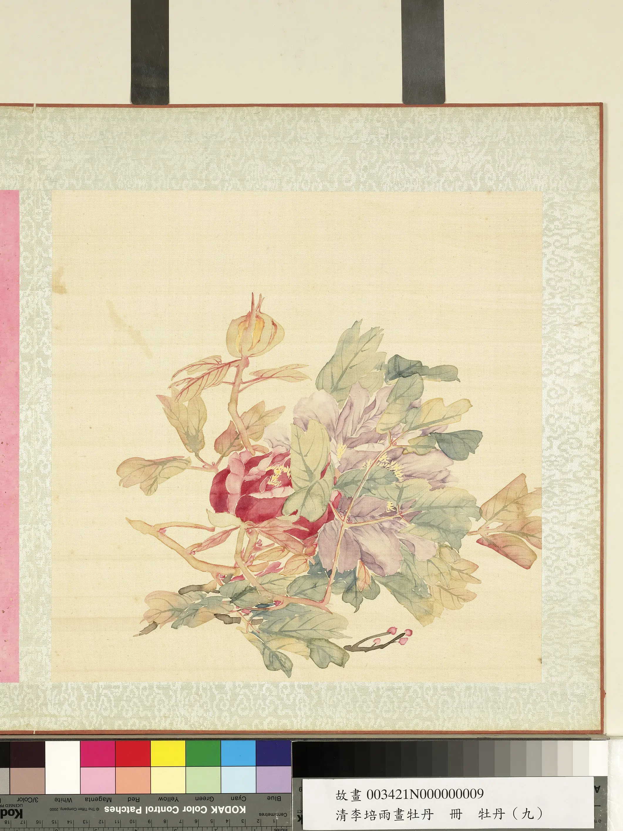 清代【李培雨】《画牡丹册》 第4张 清代【李培雨】《画牡丹册》 第4张