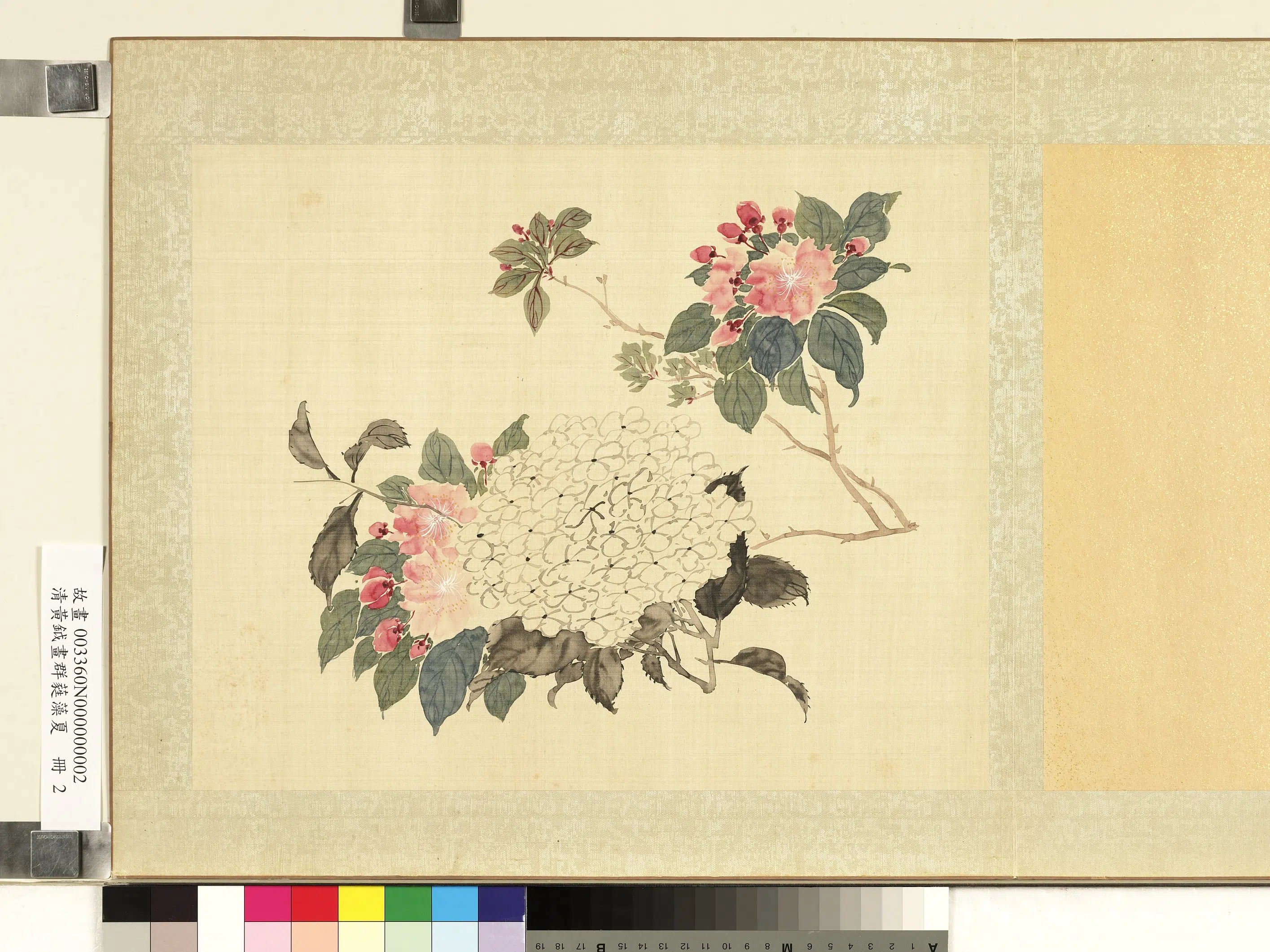 清代【黄钺】《画群蕤藻夏册-画绣球海棠》