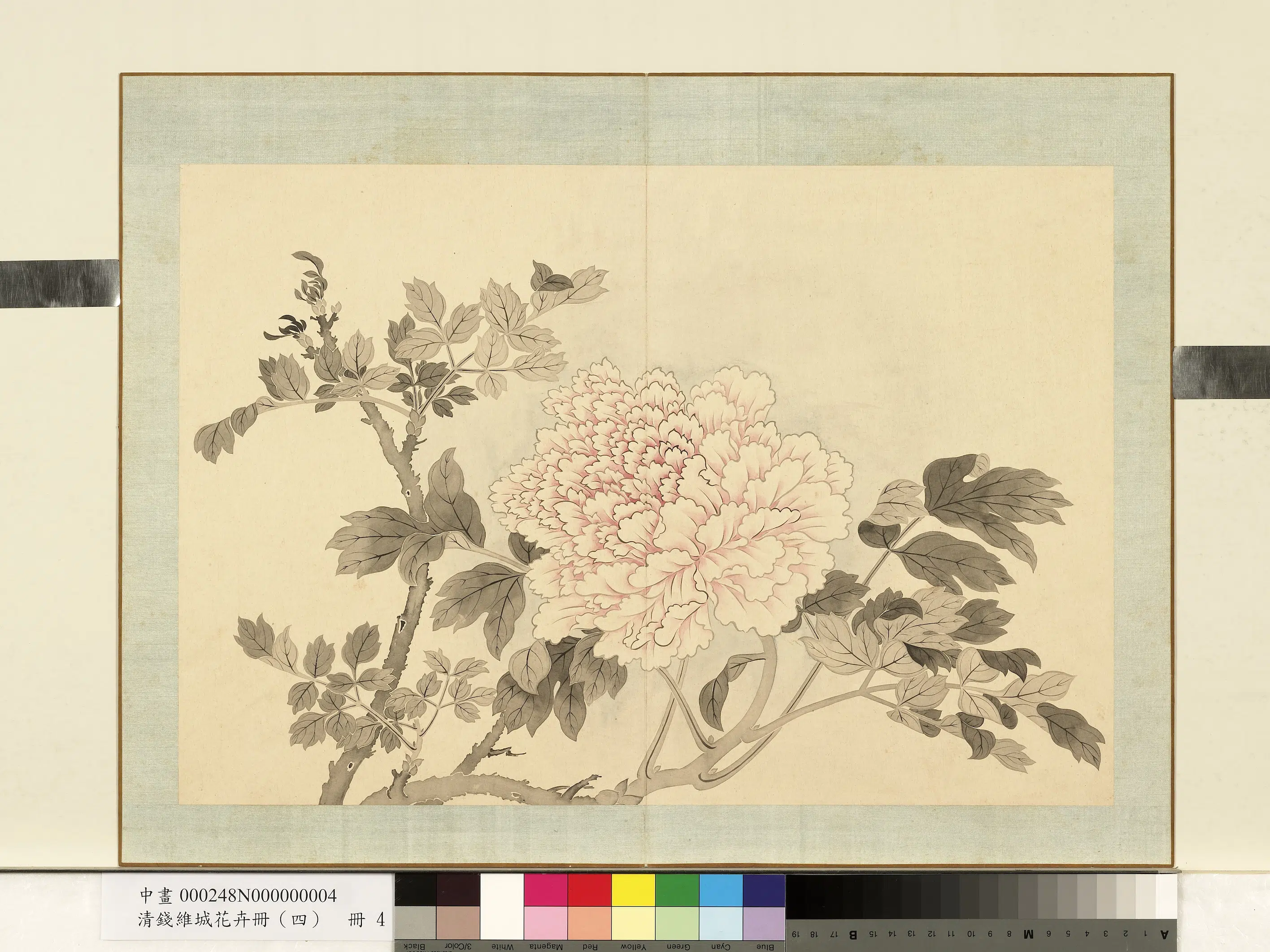 清代【钱维城】《花卉册（四）册-画牡丹之四》