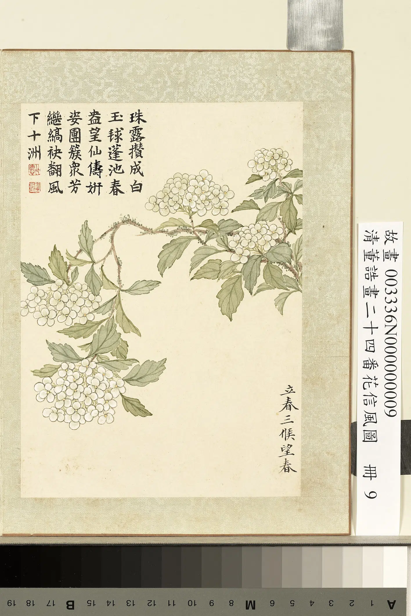 清代【董诰】《画二十四番花信风图册-立春三候望春》 第1张