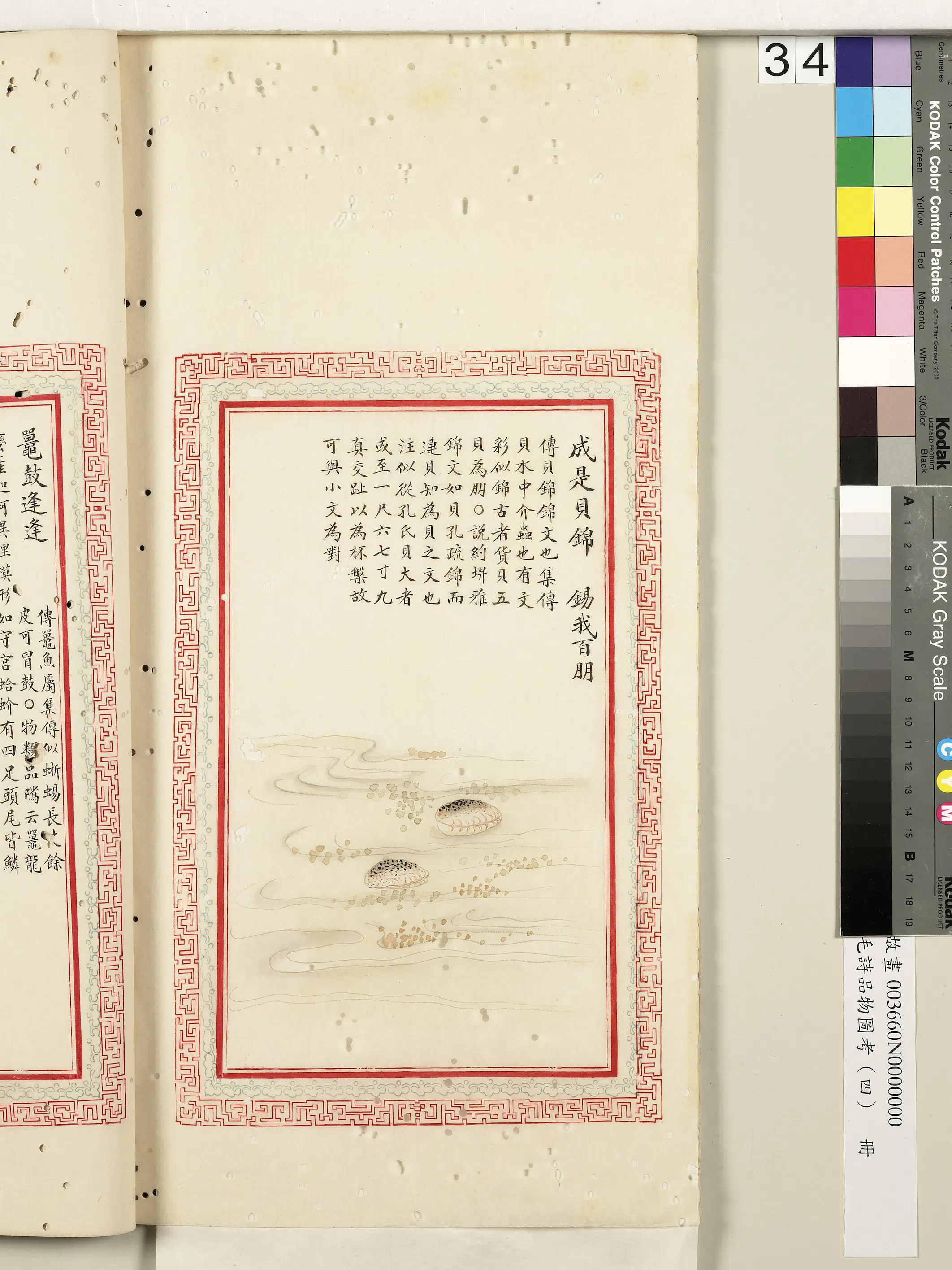 清代《毛诗品物图考(四)册-2》 第10张 清代《毛诗品物图考(四)册-2》 第10张