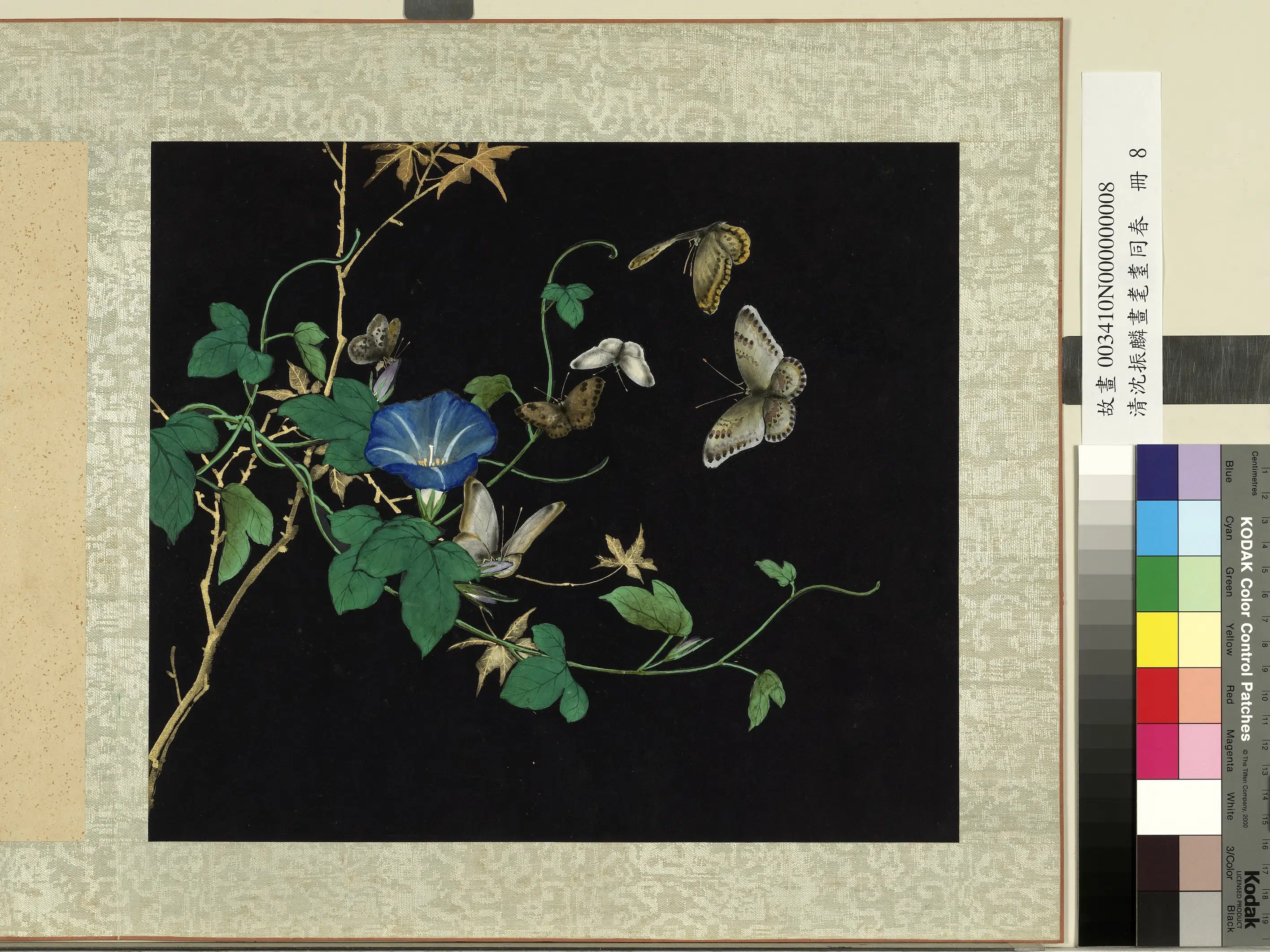 清朝【沈振麟】《画耄耋同春册-1》 第3张 清朝【沈振麟】《画耄耋同春册-1》 第3张