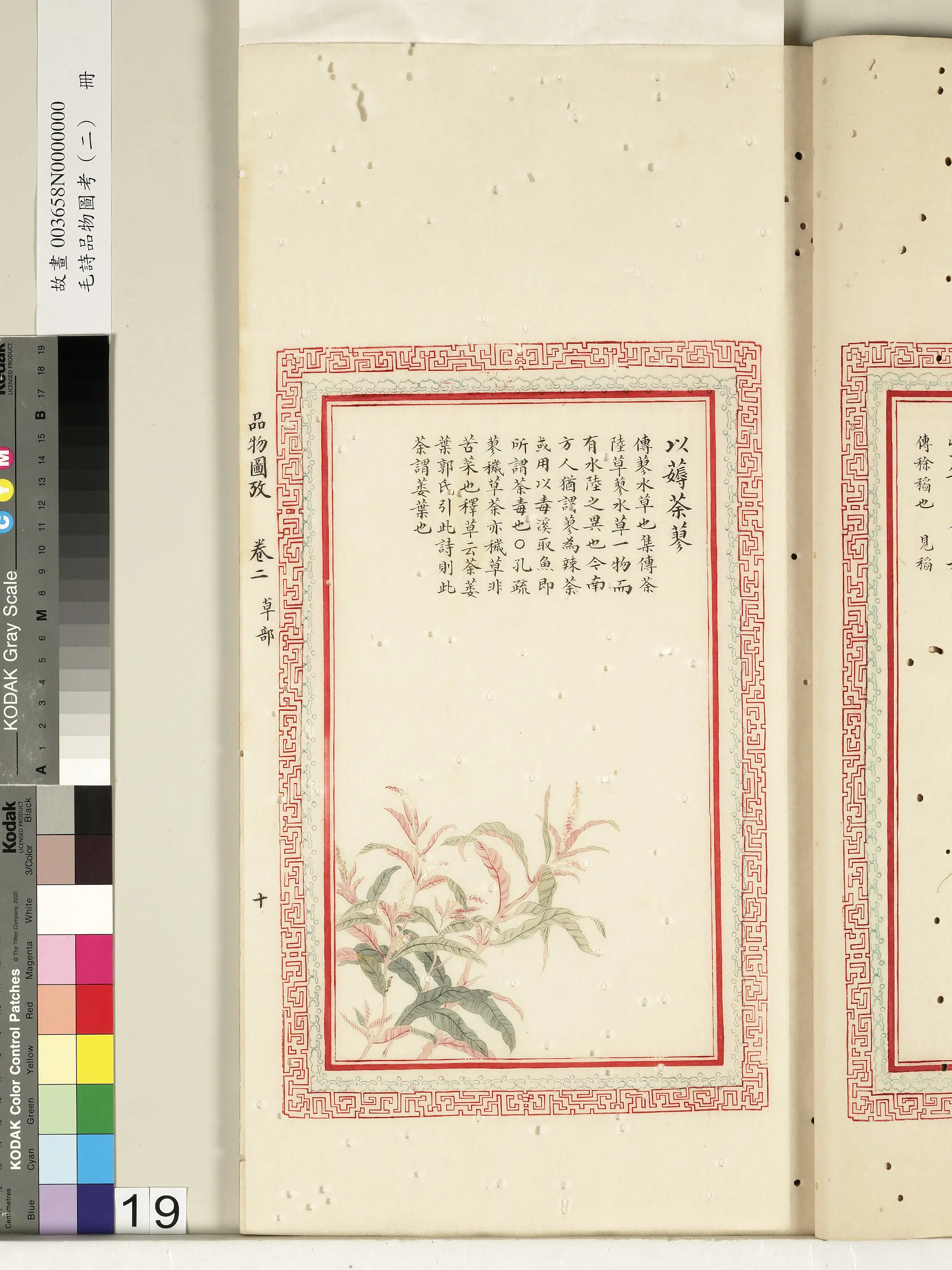 清代《毛诗品物图考（二）册-2》 第4张