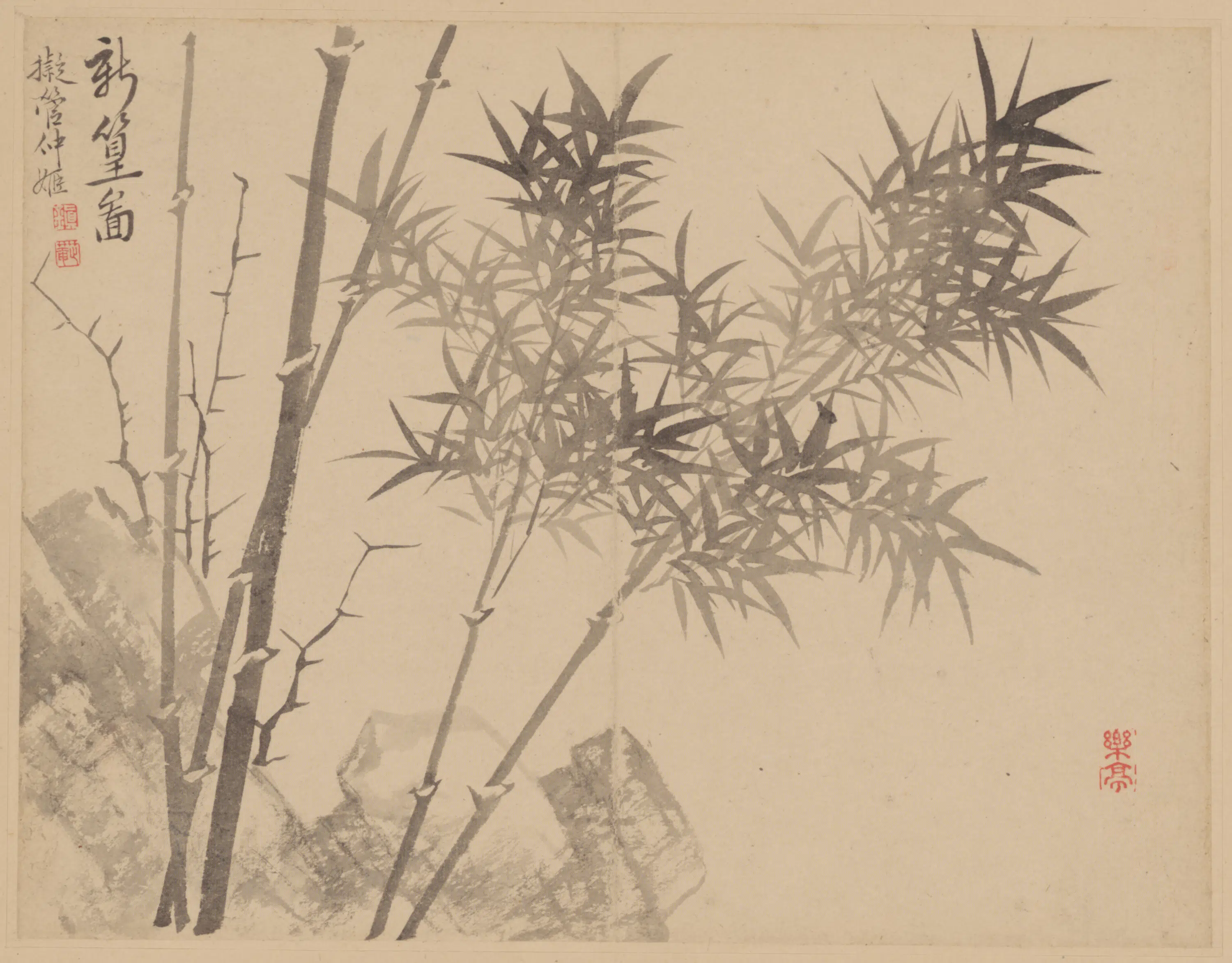 清代【范廷镇】《花卉册》 第7张 清代【范廷镇】《花卉册》 第7张