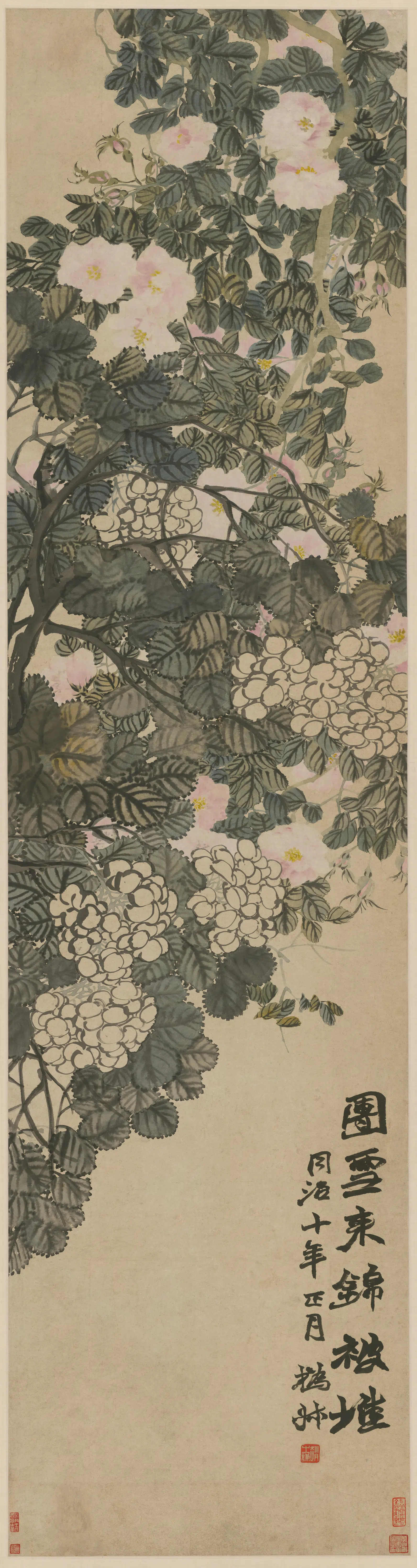 清代【赵之谦】《花卉条屏》