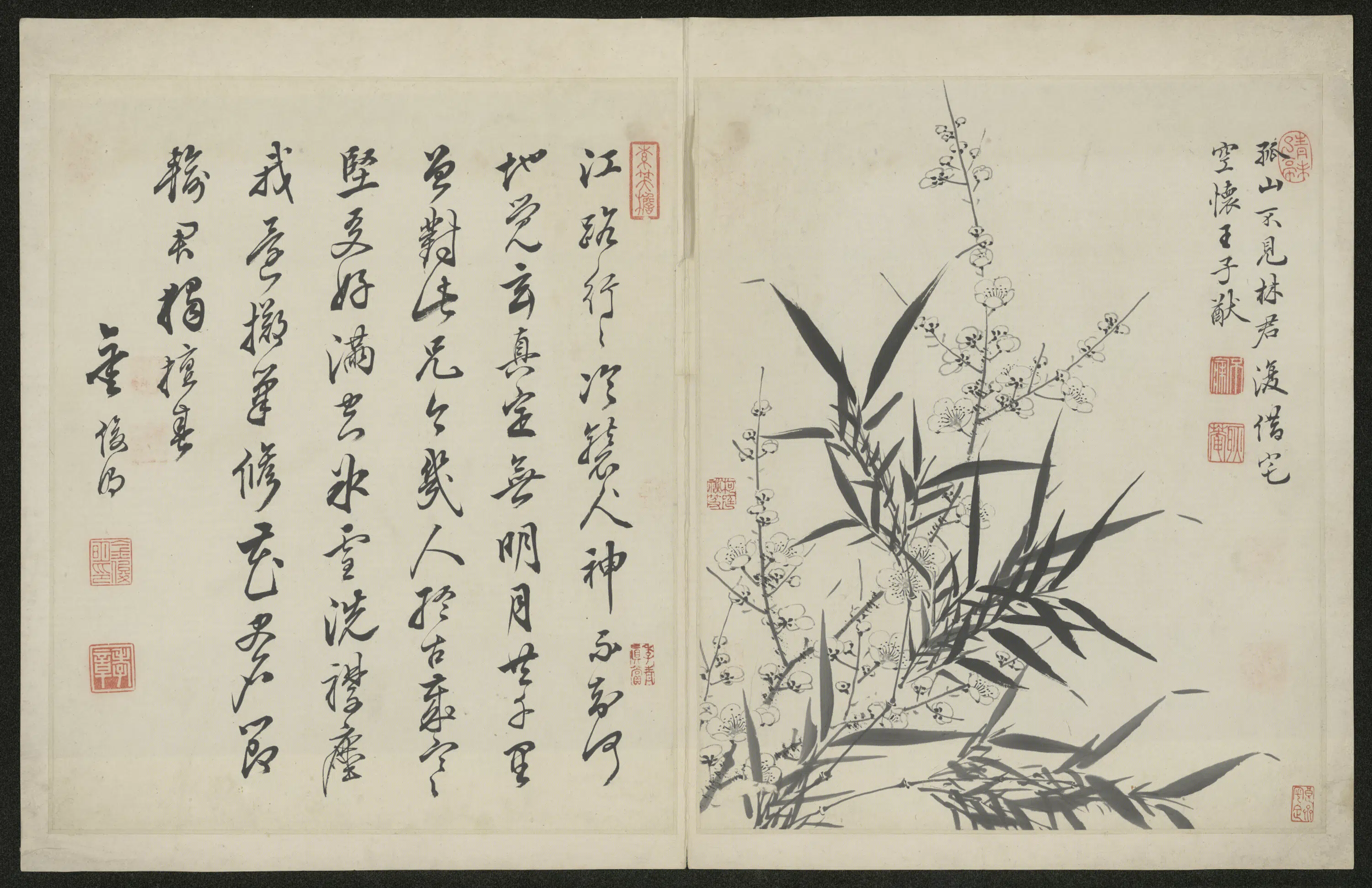 清代【金俊明】《梅花图册-2》 第8张 清代【金俊明】《梅花图册-2》 第8张