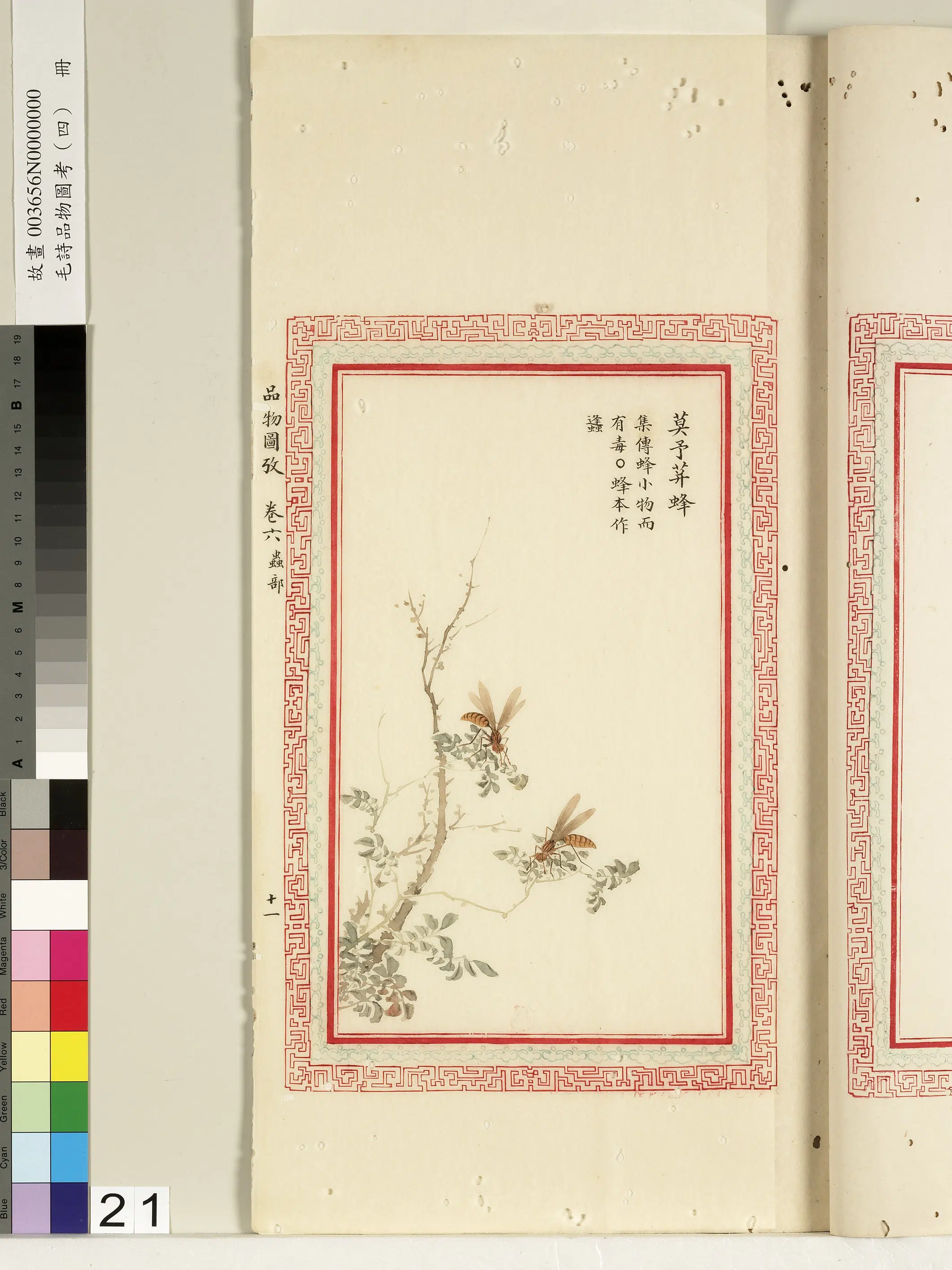 清朝【佚名】《毛诗品物图考（四）册-莫予荓蜂-1》