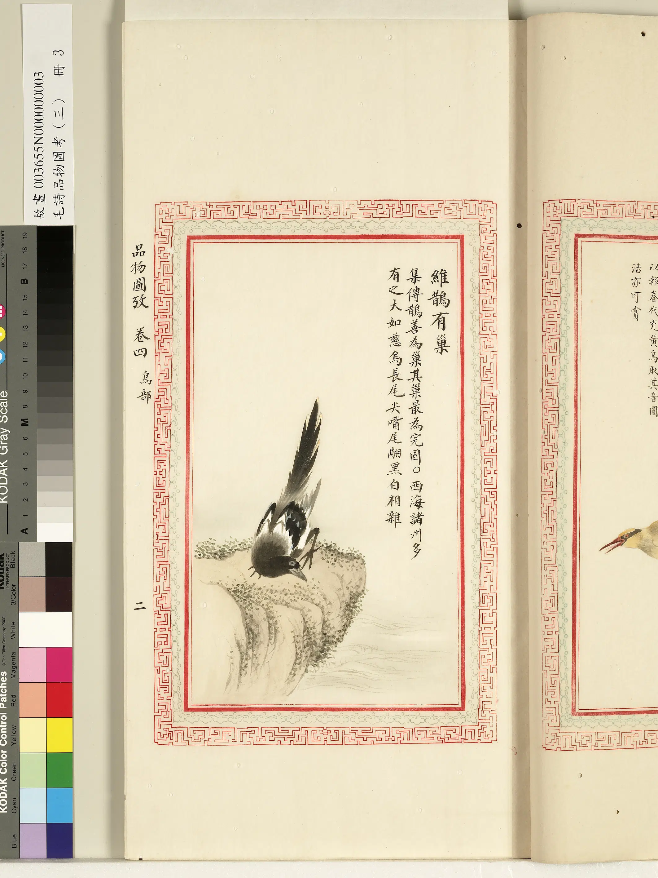 清代《毛诗品物图考(三)册-1》 第35张 清代《毛诗品物图考(三)册-1》 第35张