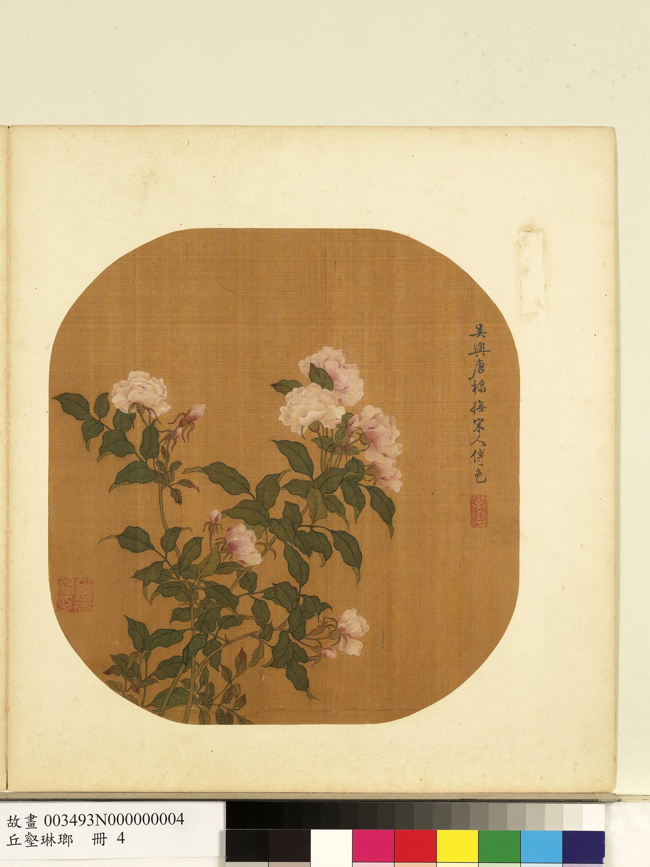 元朝【唐棣】《画月季图_丘壑琳琅册》