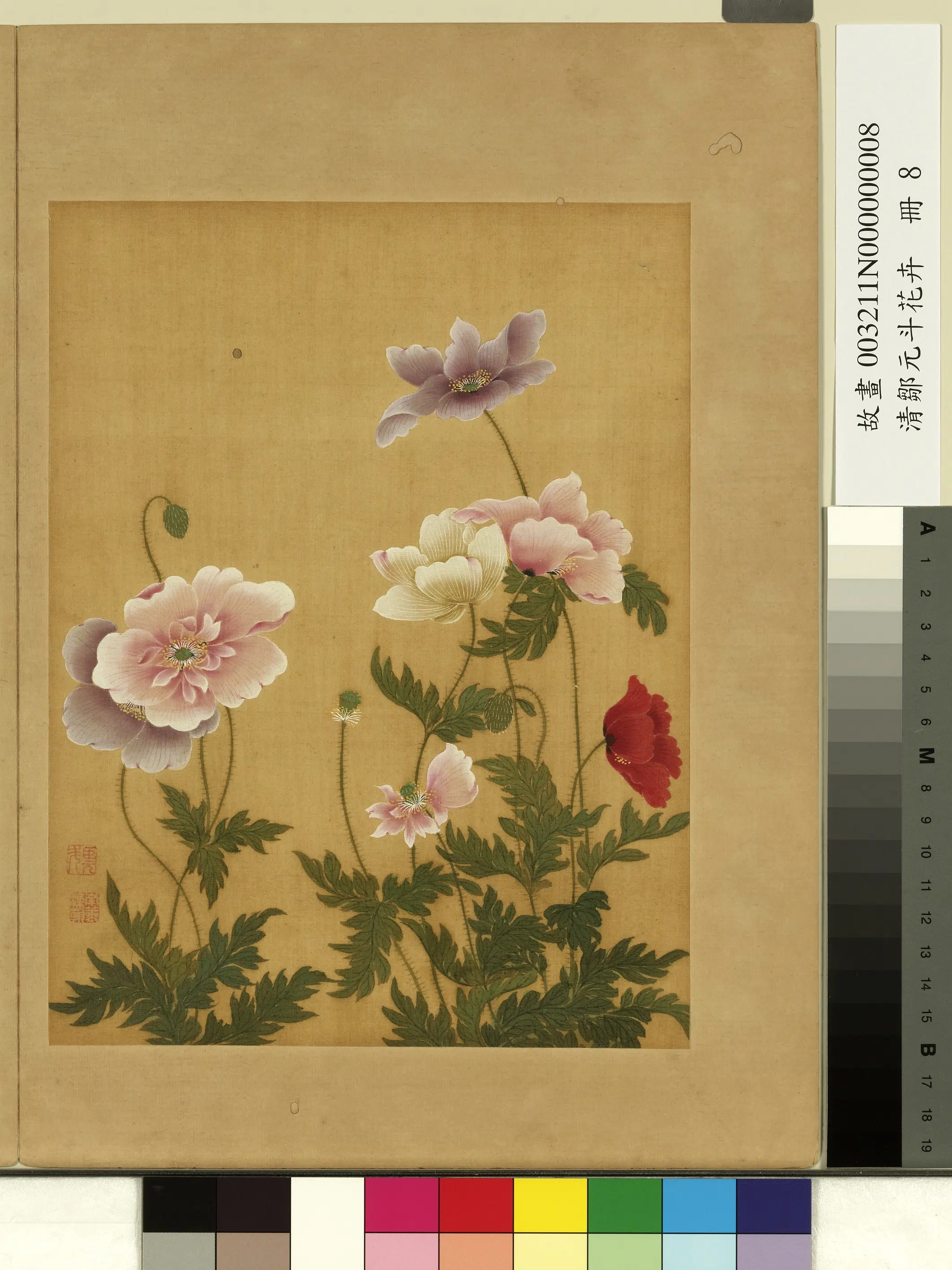 清代【邹元斗】《花卉册》 第11张