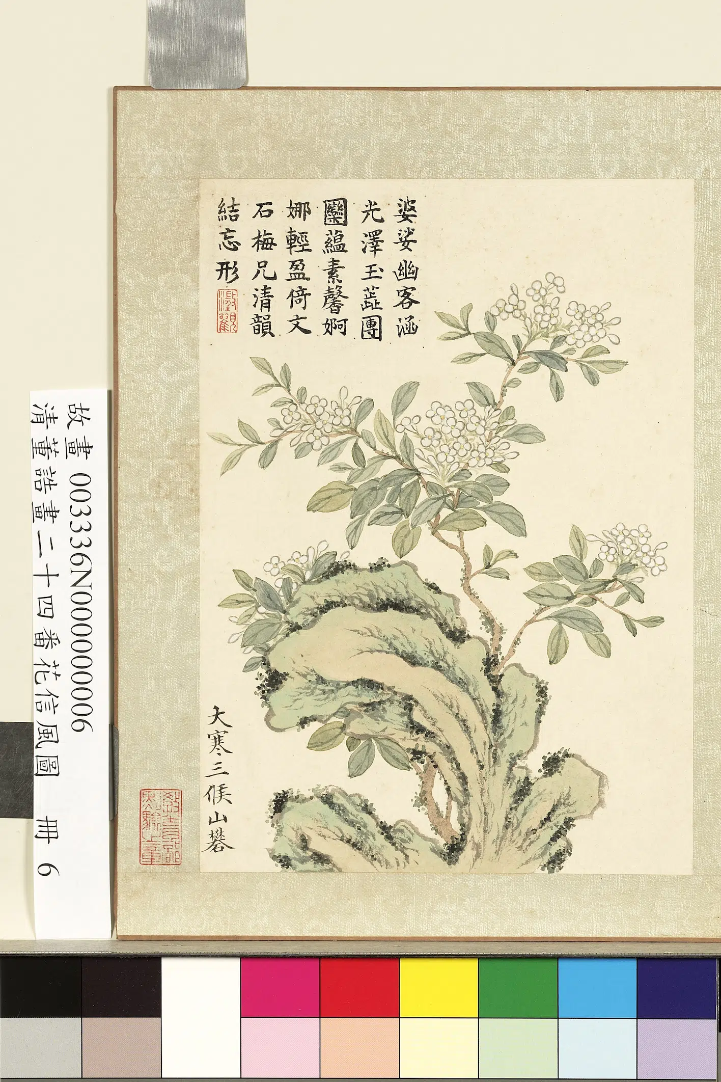 清代【董诰】《画二十四番花信风图册-大寒三候山矾》