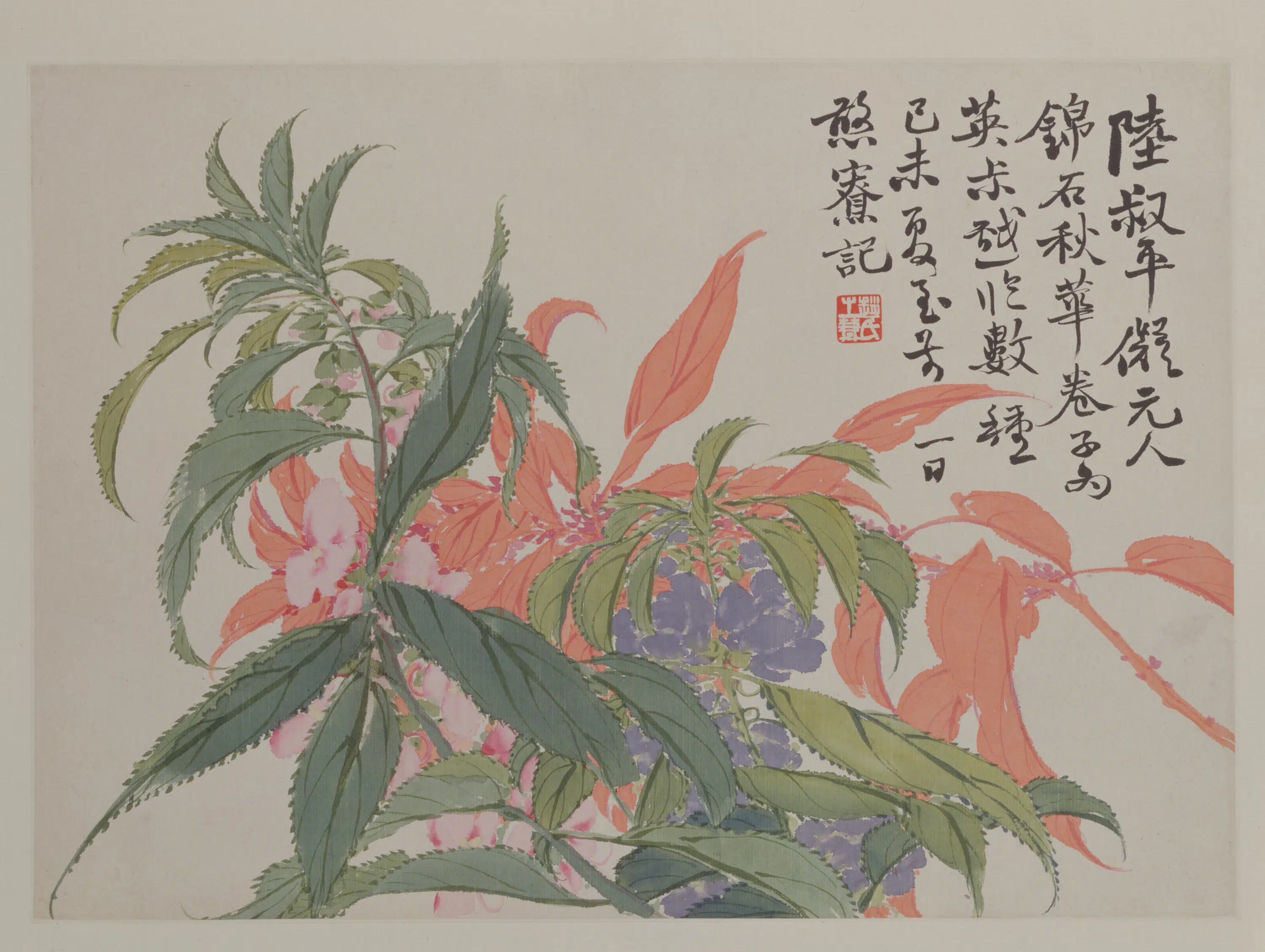 清代【赵之谦】《花卉册-秋花页》
