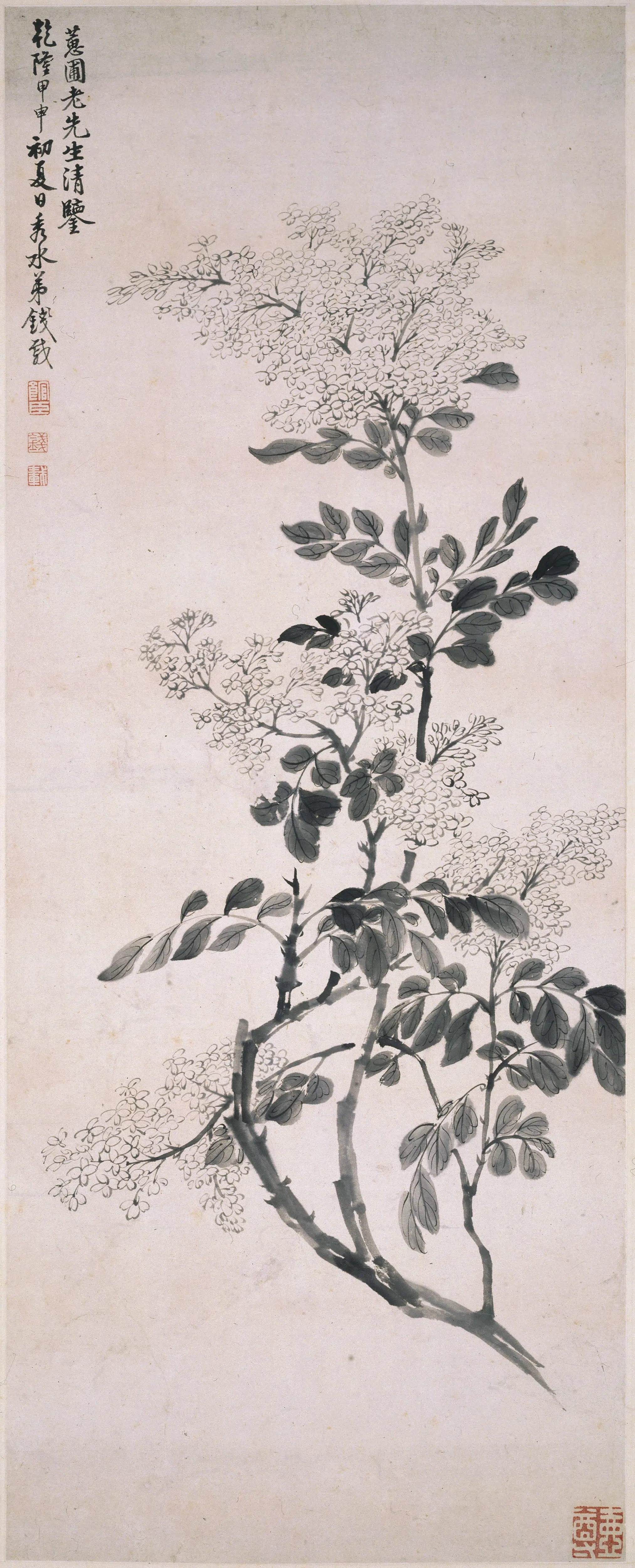 清代【钱载】《丁香图轴》 第1张 清代【钱载】《丁香图轴》 第1张