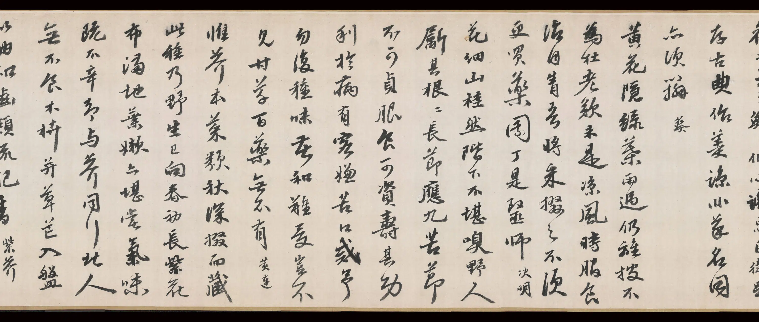 明朝【吴宽】《记园中草木诗》 第11张