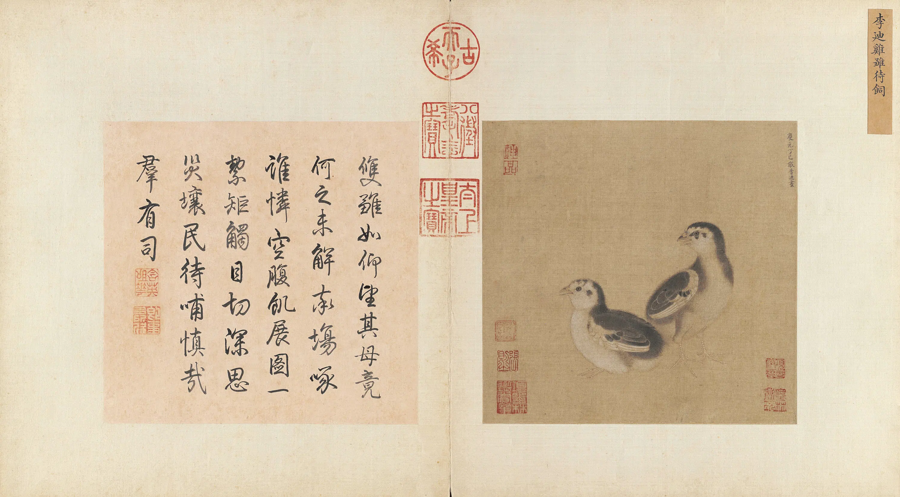宋代【李迪】《鸡雏待饲图页》 第1张