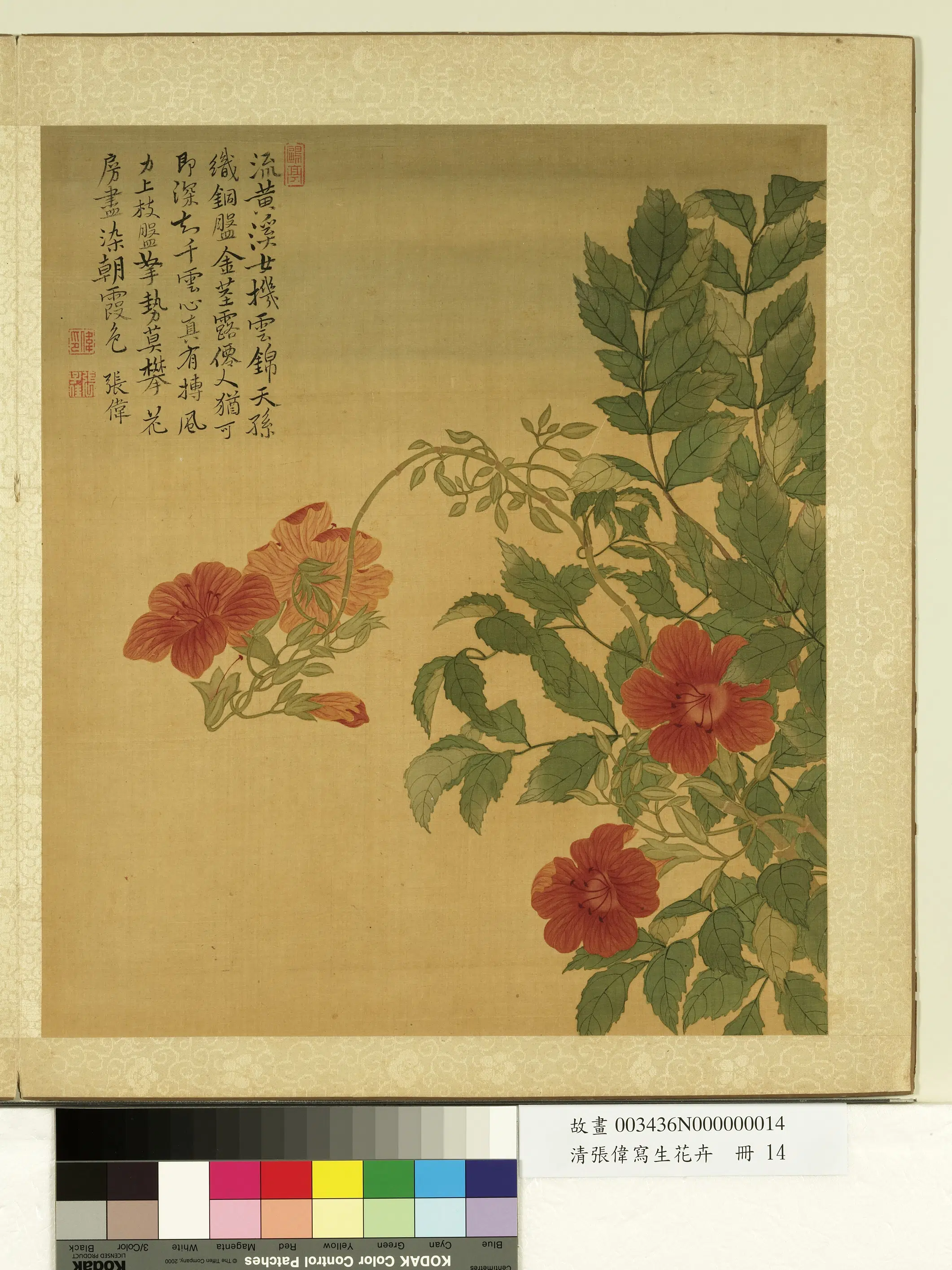 清代【张伟】《写生花卉册-凌霄》