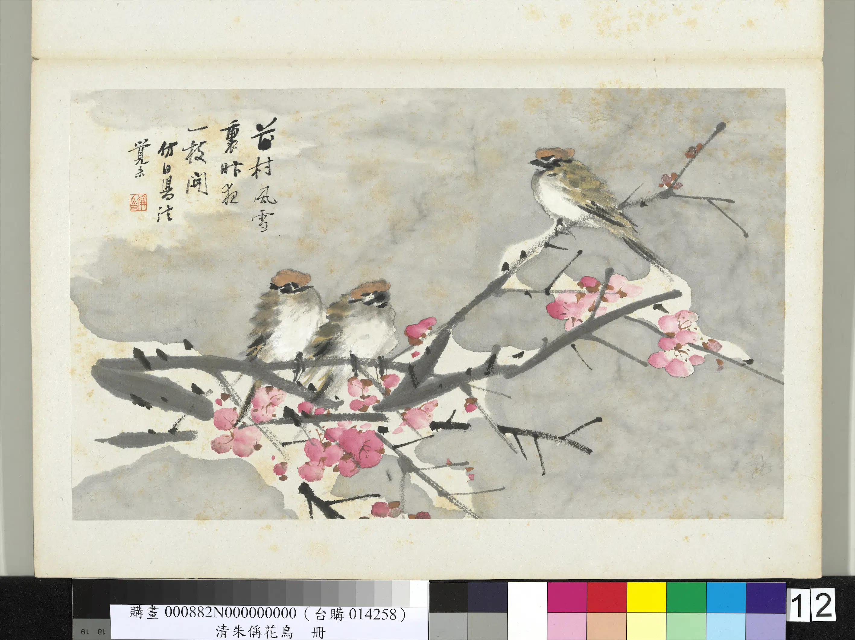 清代【朱偁】《花鸟册-梅花麻雀》