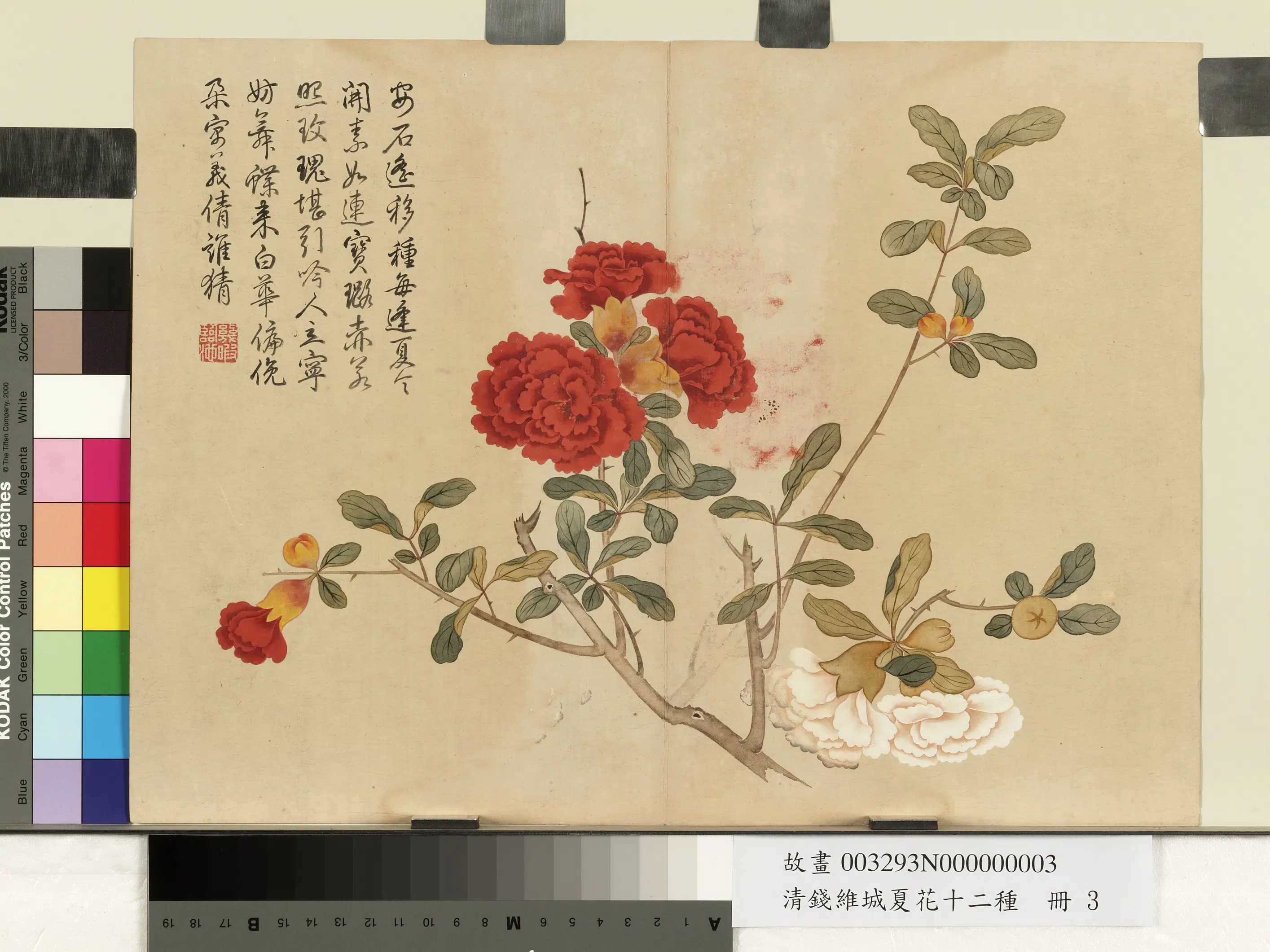 清代【钱维城】《夏华十二种册-石榴花》