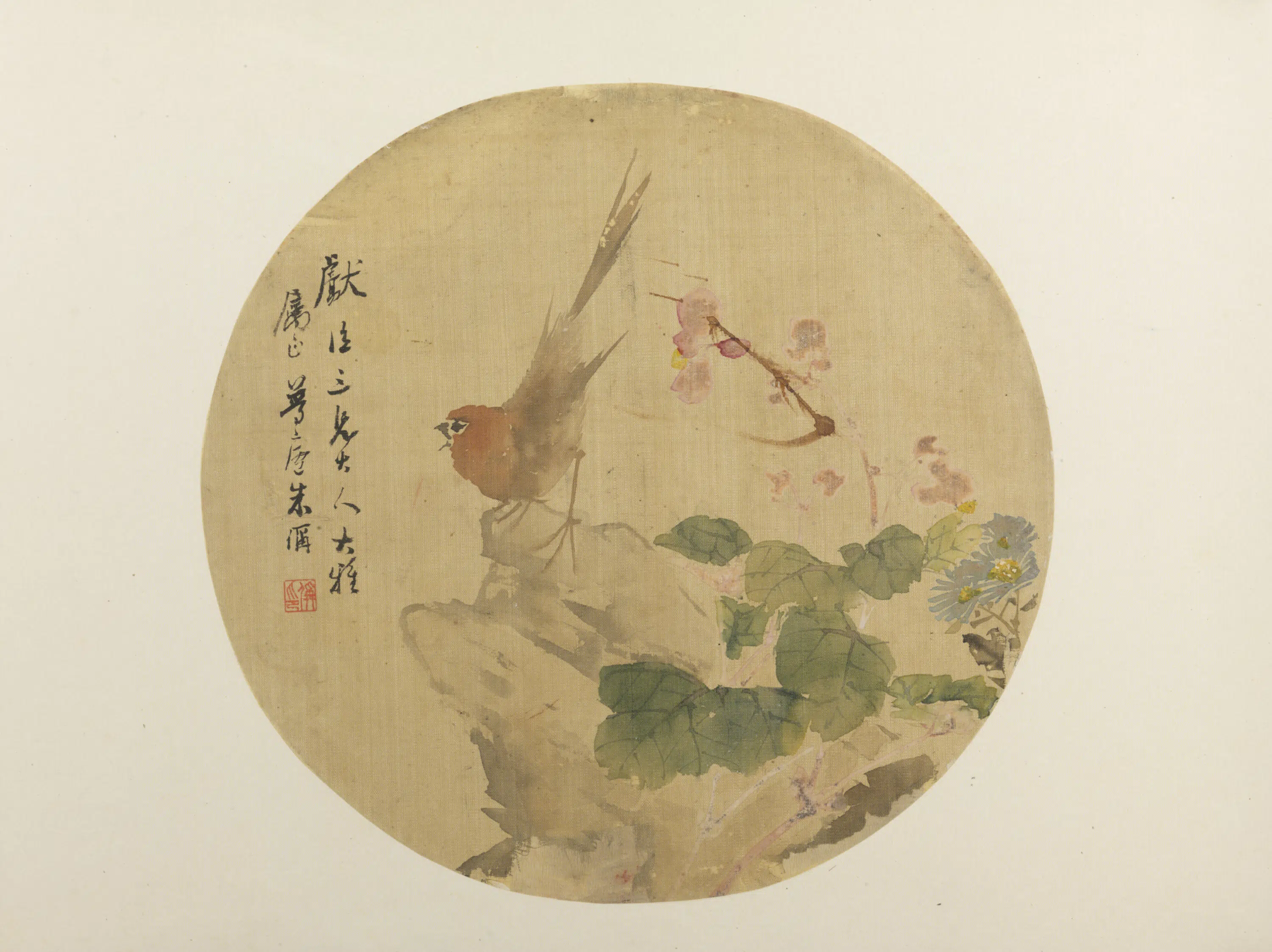 清代【朱偁】《花鸟纨扇页-1》