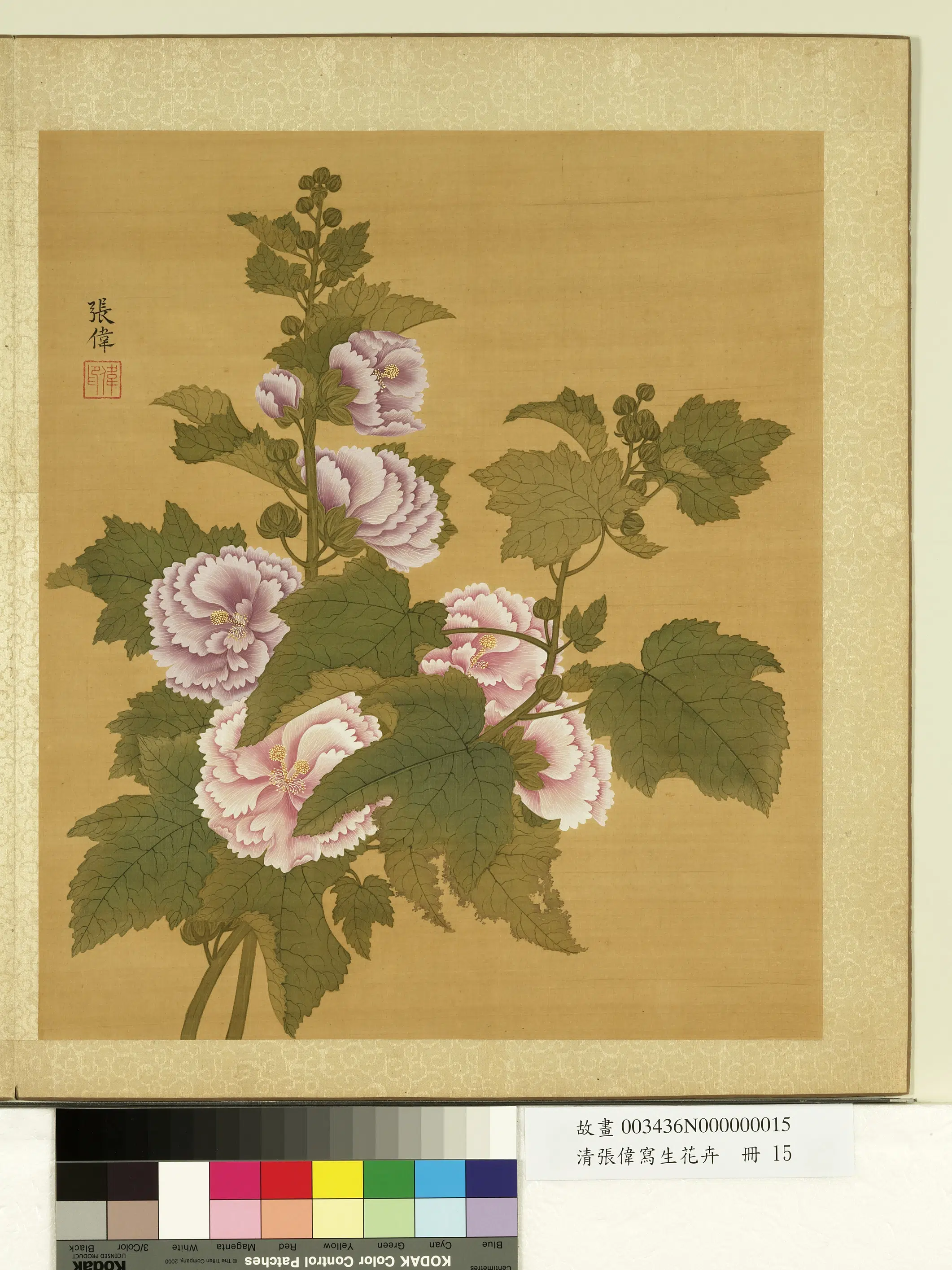 清代【张伟】《写生花卉册》 第20张