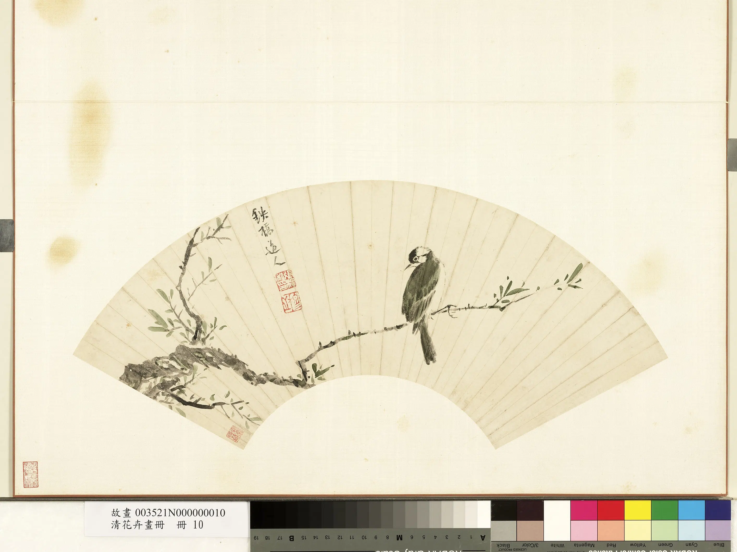 《花卉画册-7》 第6张