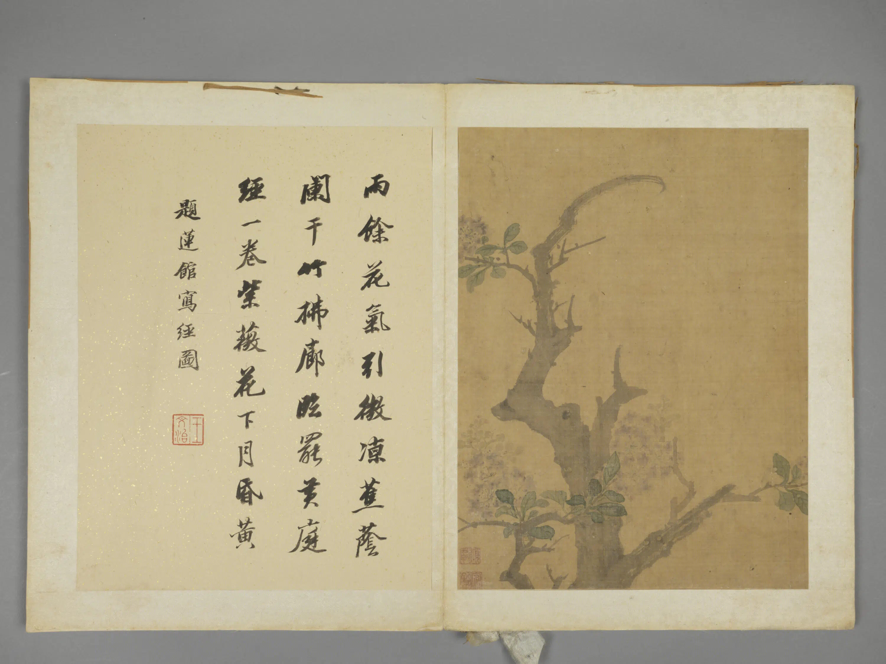 明朝【项圣谟】《花卉册（7开）》 第5张