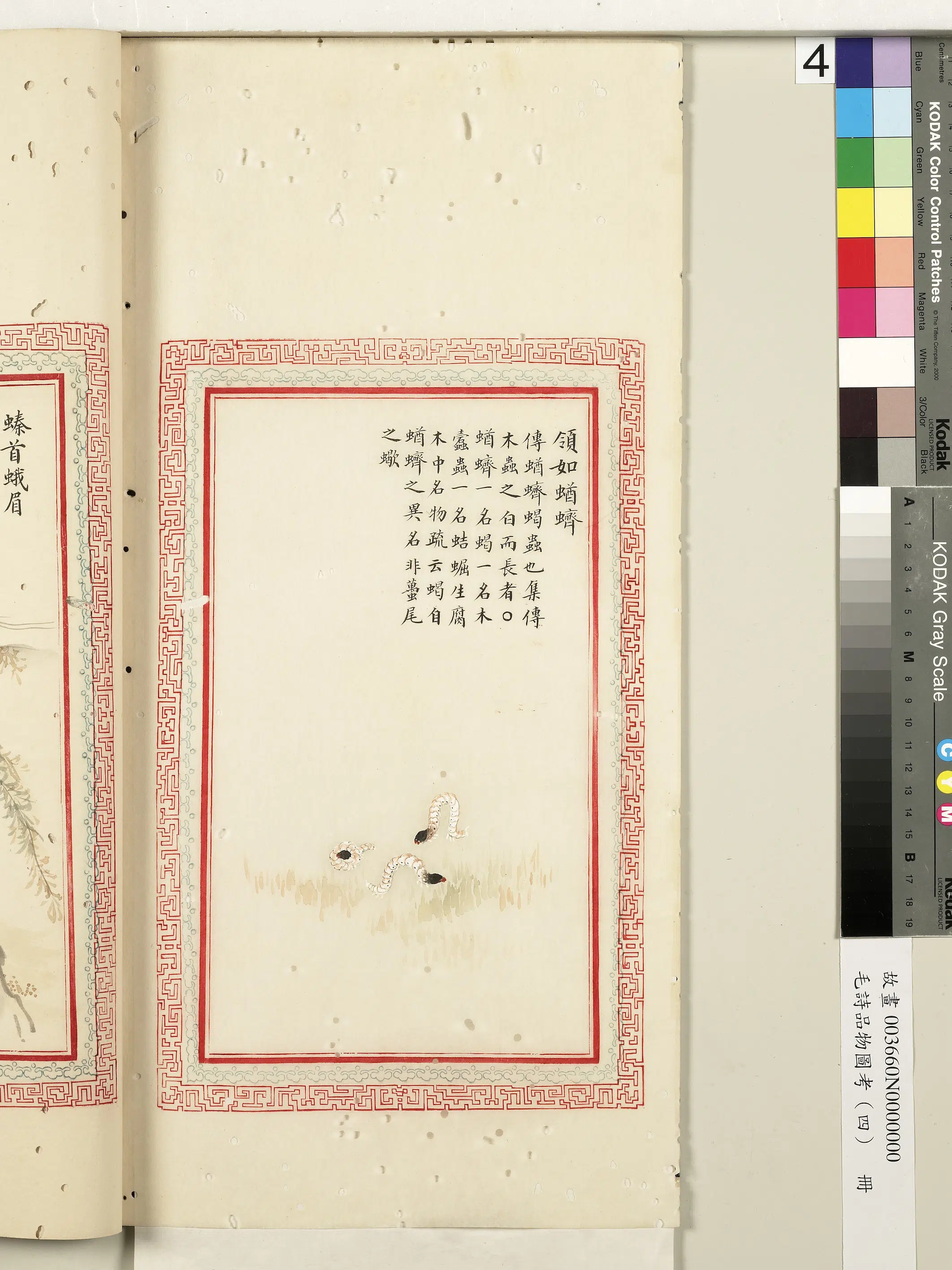 清代《毛诗品物图考(四)册-2》 第27张 清代《毛诗品物图考(四)册-2》 第27张