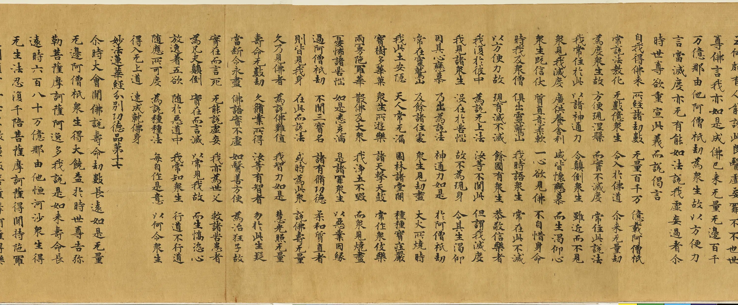 唐朝《唐人写妙法莲华经卷》 第13张