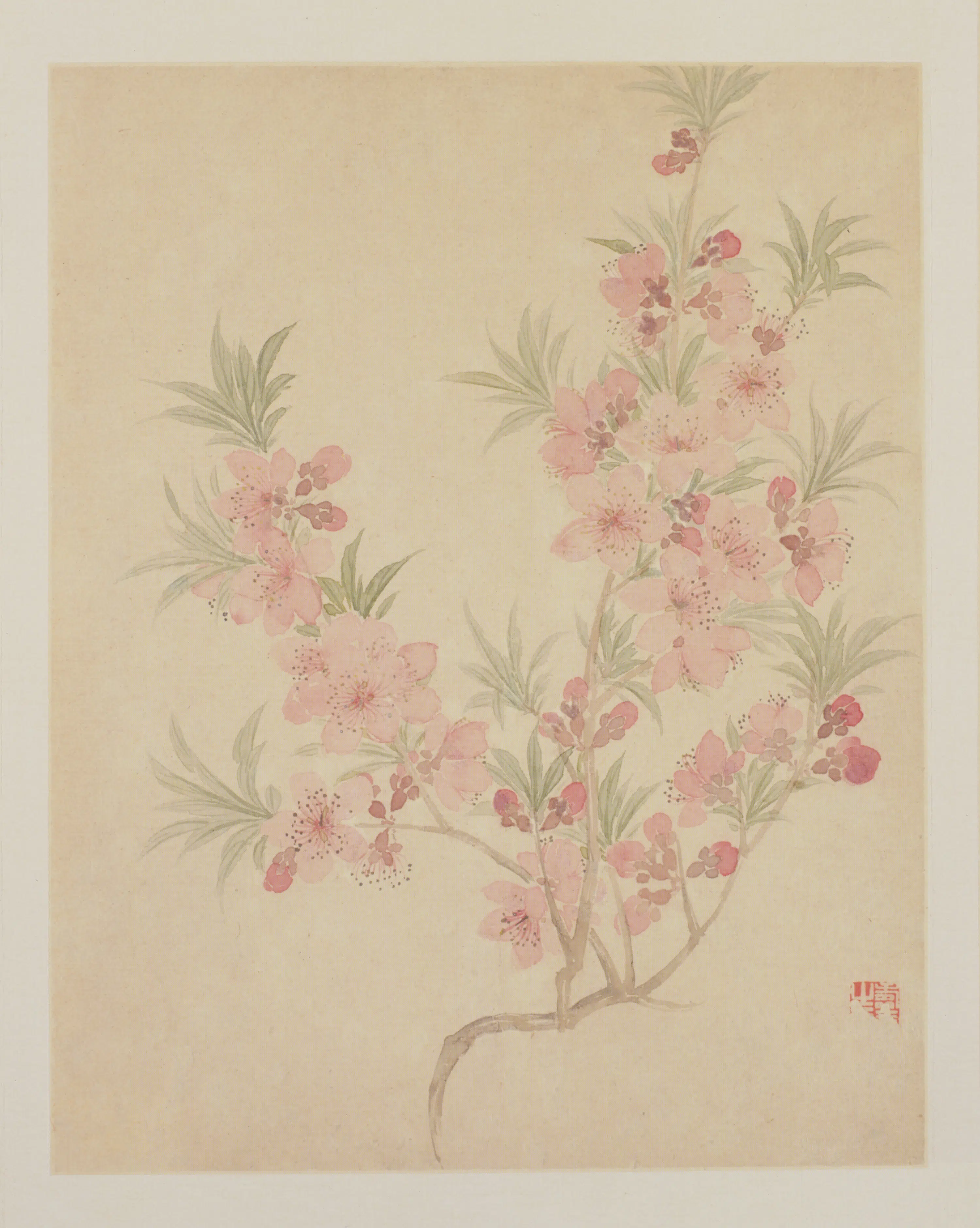 清代【恽寿平】《花鸟册（12开）》