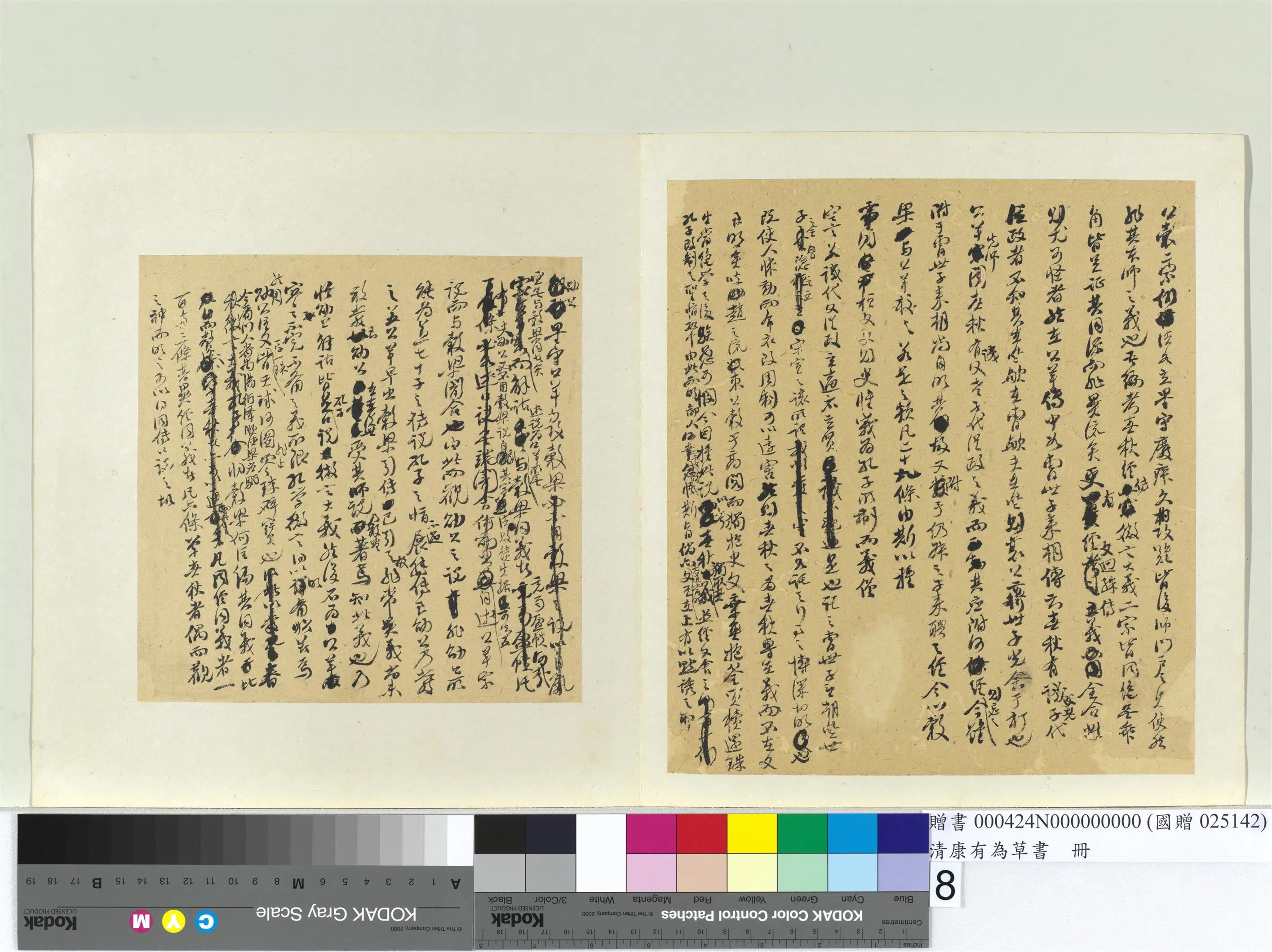 清代【康有为】《草书册》 第50张