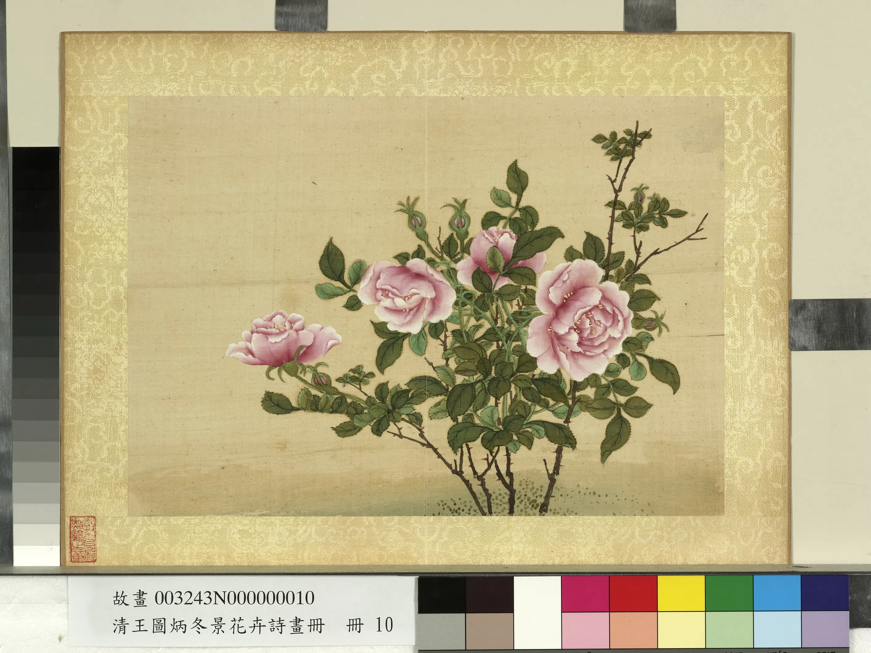 清代【王图炳】《冬景花卉诗画册-月季》