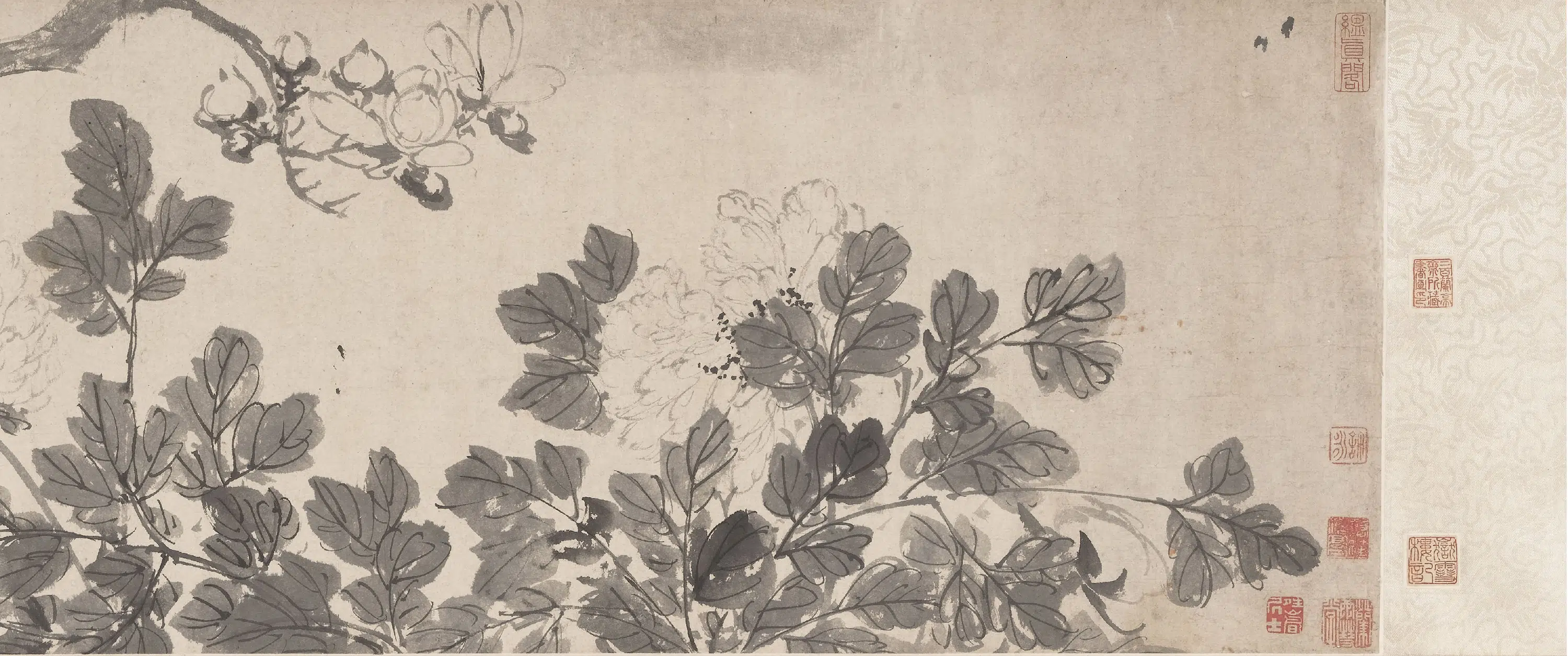 明朝【陈淳（道复）】《花卉图卷-2》 第6张