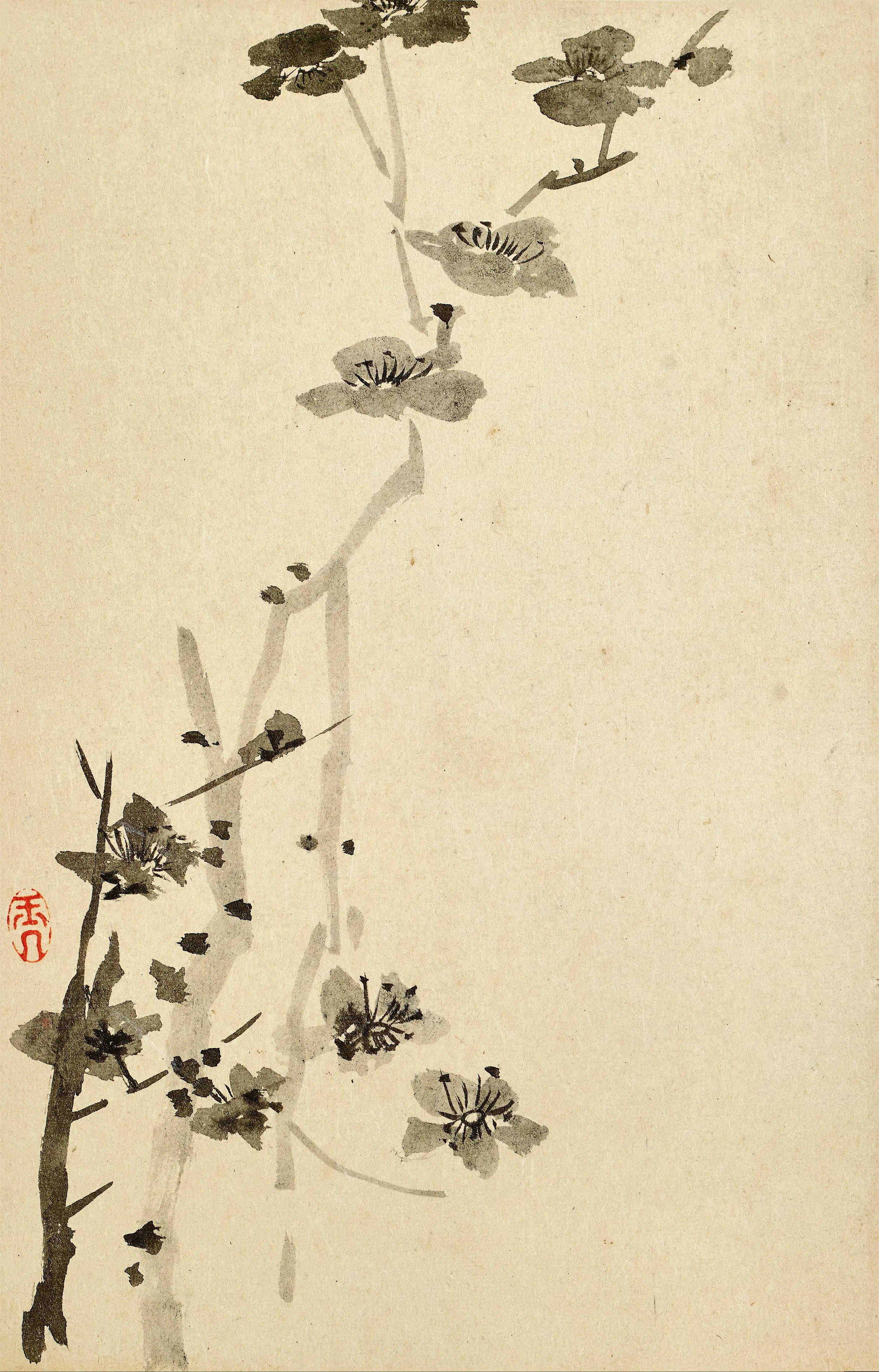 清代【陈撰】《花卉图册》 第10张