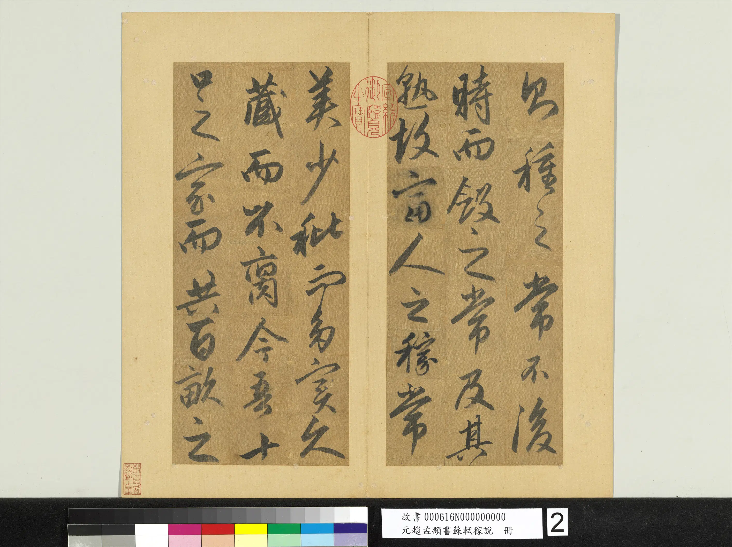 元朝【赵孟頫】《书苏轼稼说册》 第3张
