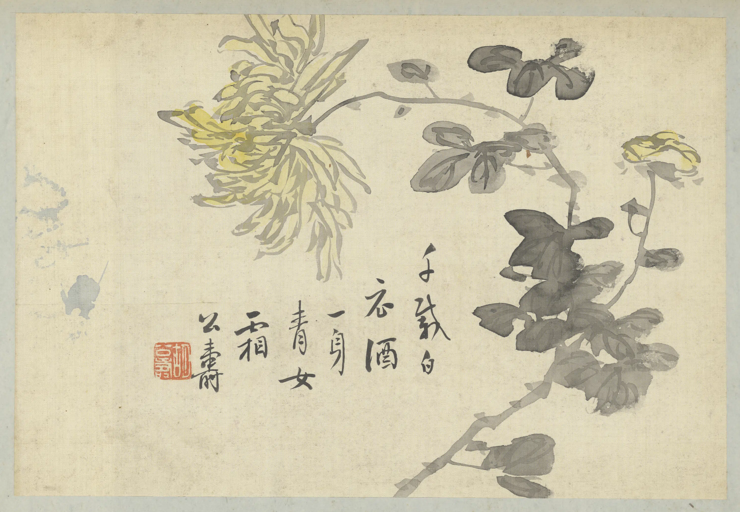 清代【胡远】《花卉册(7开)》 第4张 清代【胡远】《花卉册(7开)》 第4张