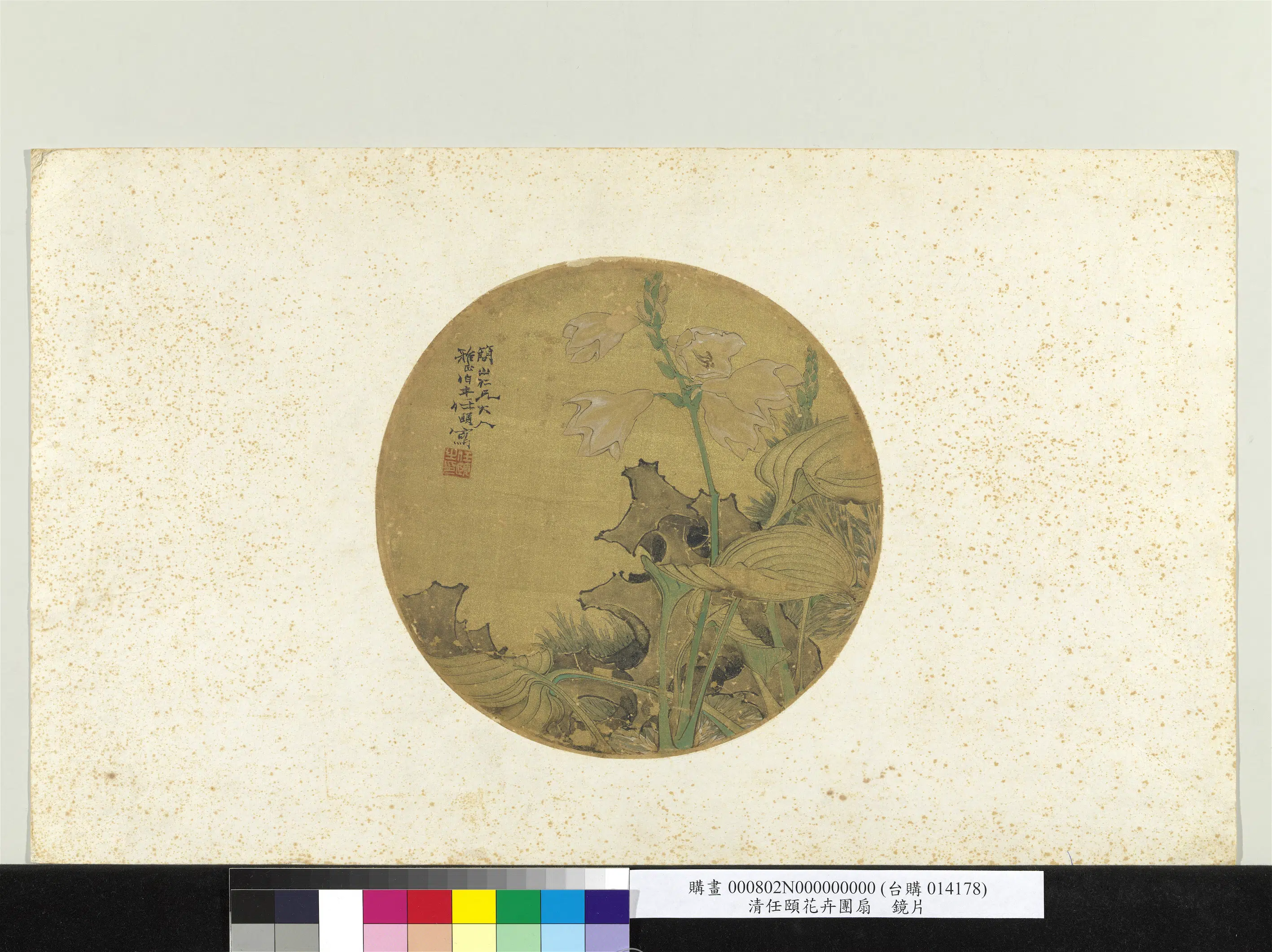 清代【任伯年-任颐】《花卉团扇镜片》