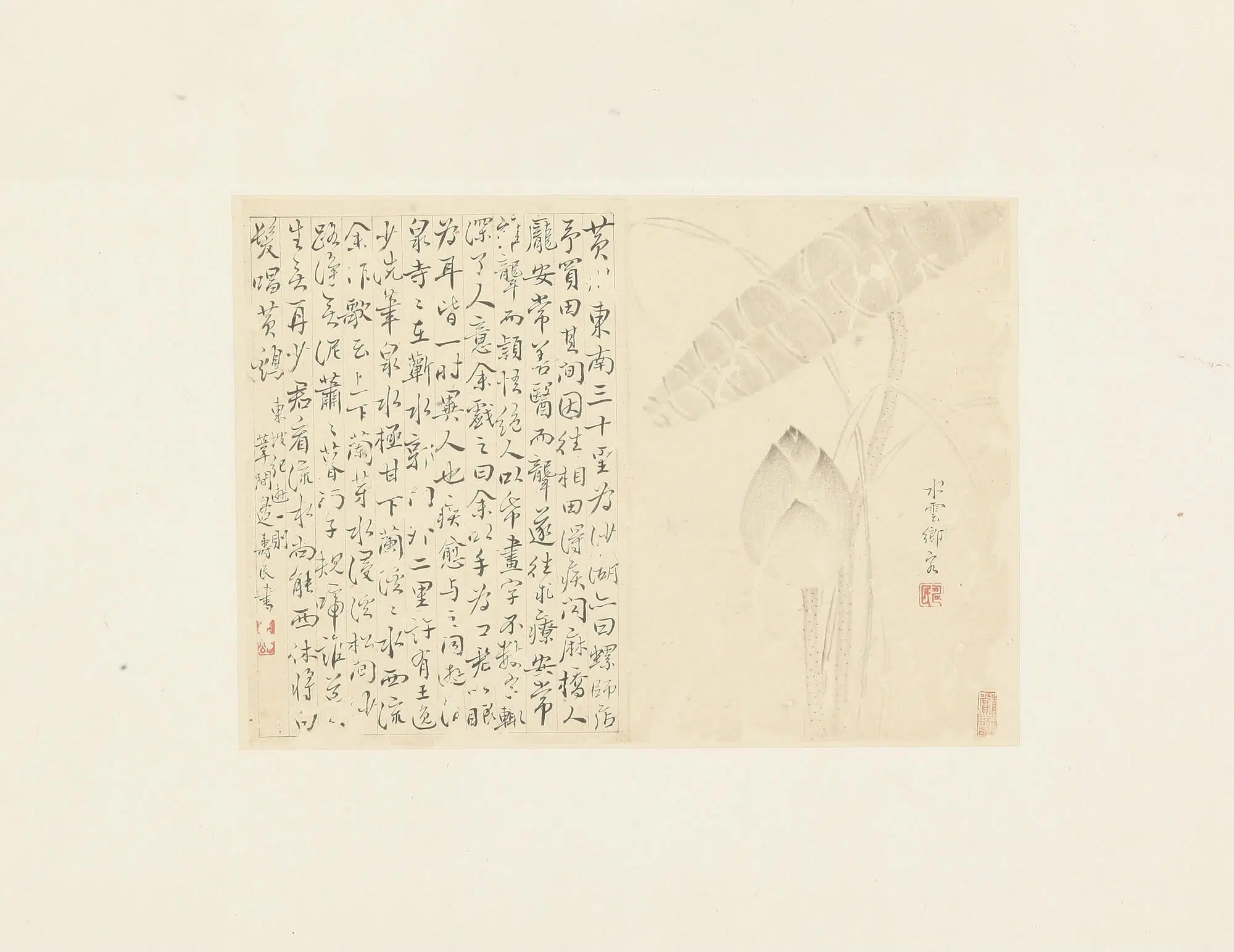 清朝【边寿民】《花卉册页》 第3张