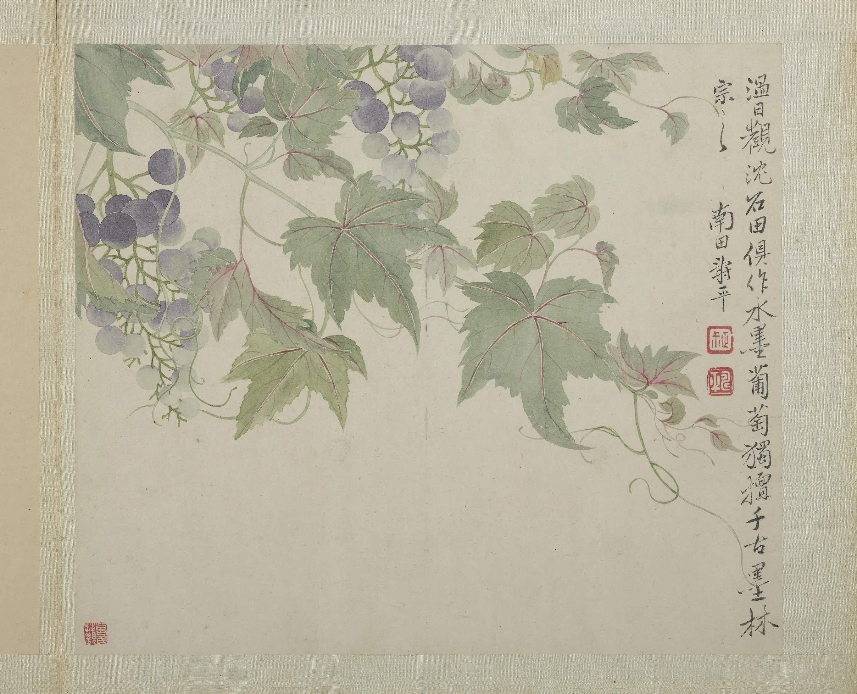 清代【恽寿平】《画花卉册-2》 第8张