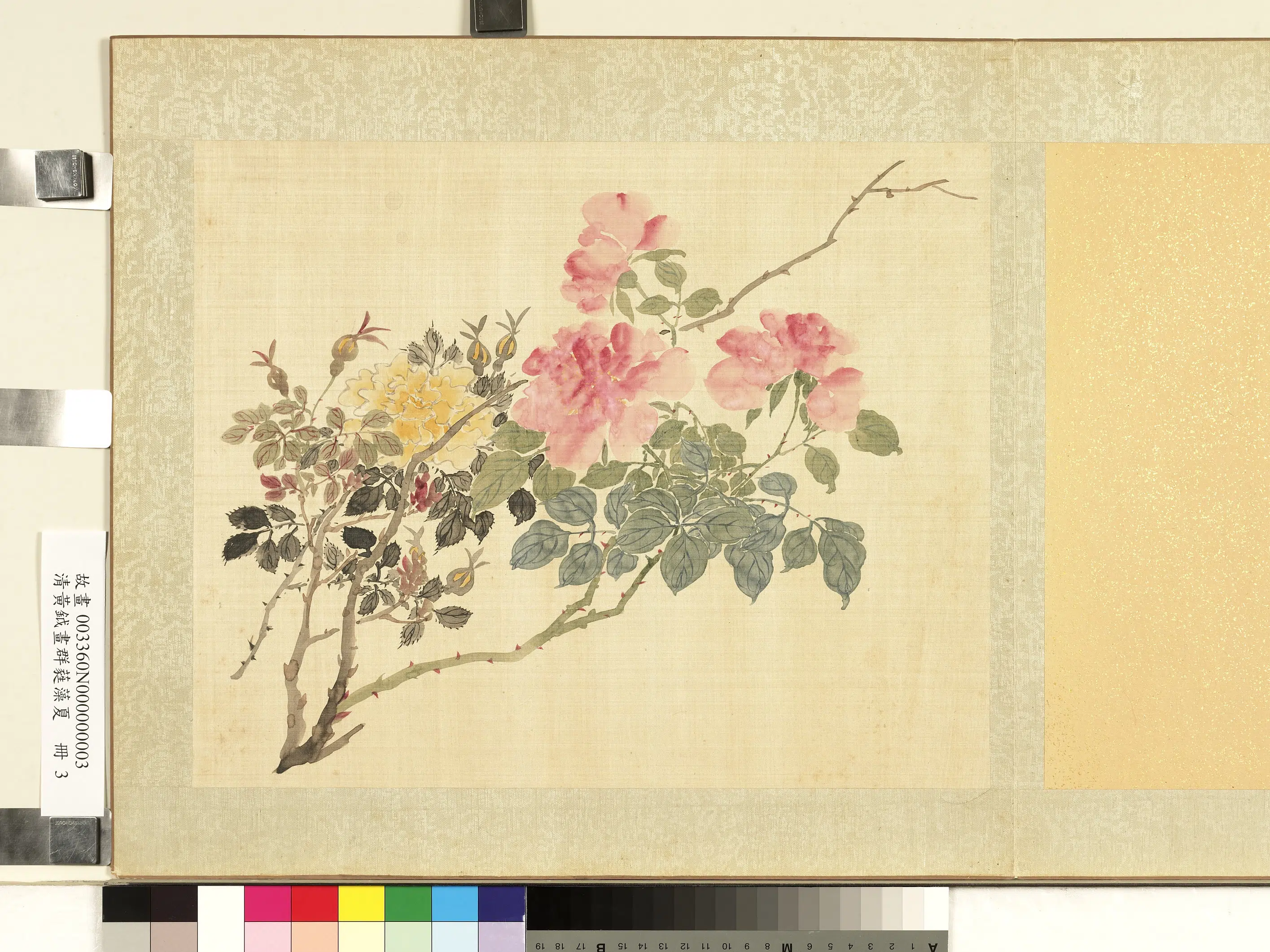 清代【黄钺】《画群蕤藻夏册》 第11张