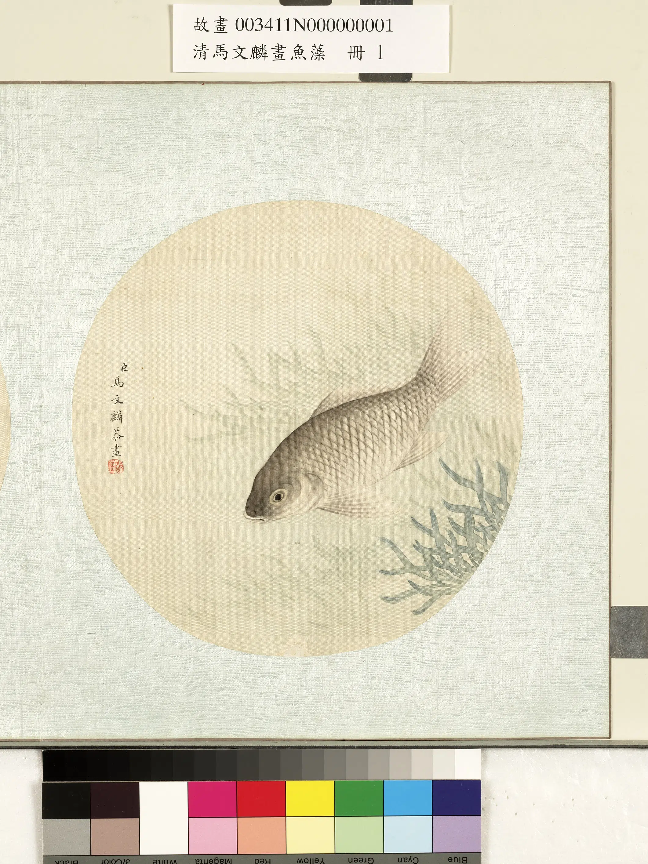 清代【马文麟】《画鱼藻册-鲫鱼-1》
